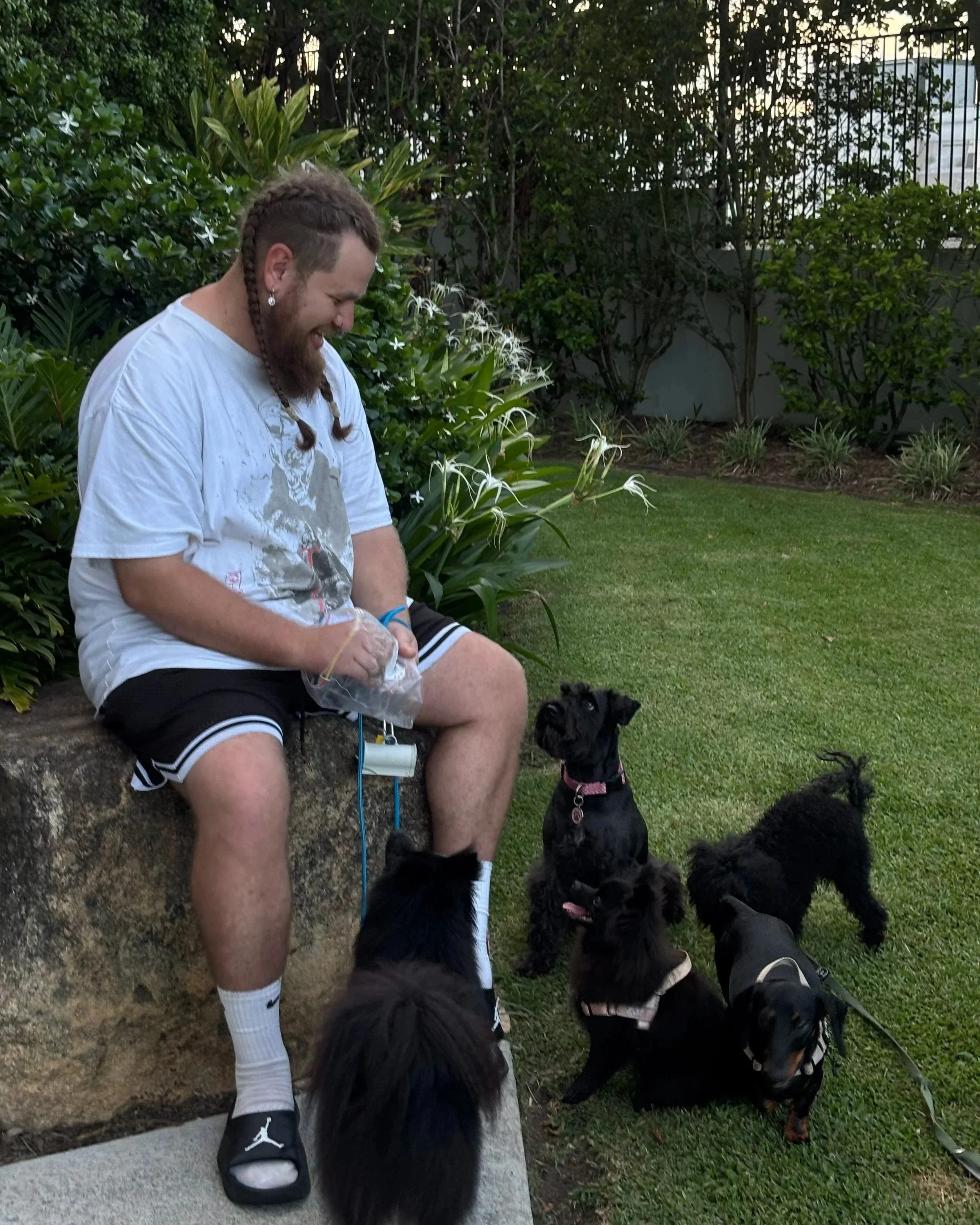 A man with braided hair and beard sitting on a stone ledge in a garden, smiling at five small black dogs around him. The man is wearing a white t-shirt, black shorts, and sandals. The dogs are on leashes, and one is sitting on the grass, another is l