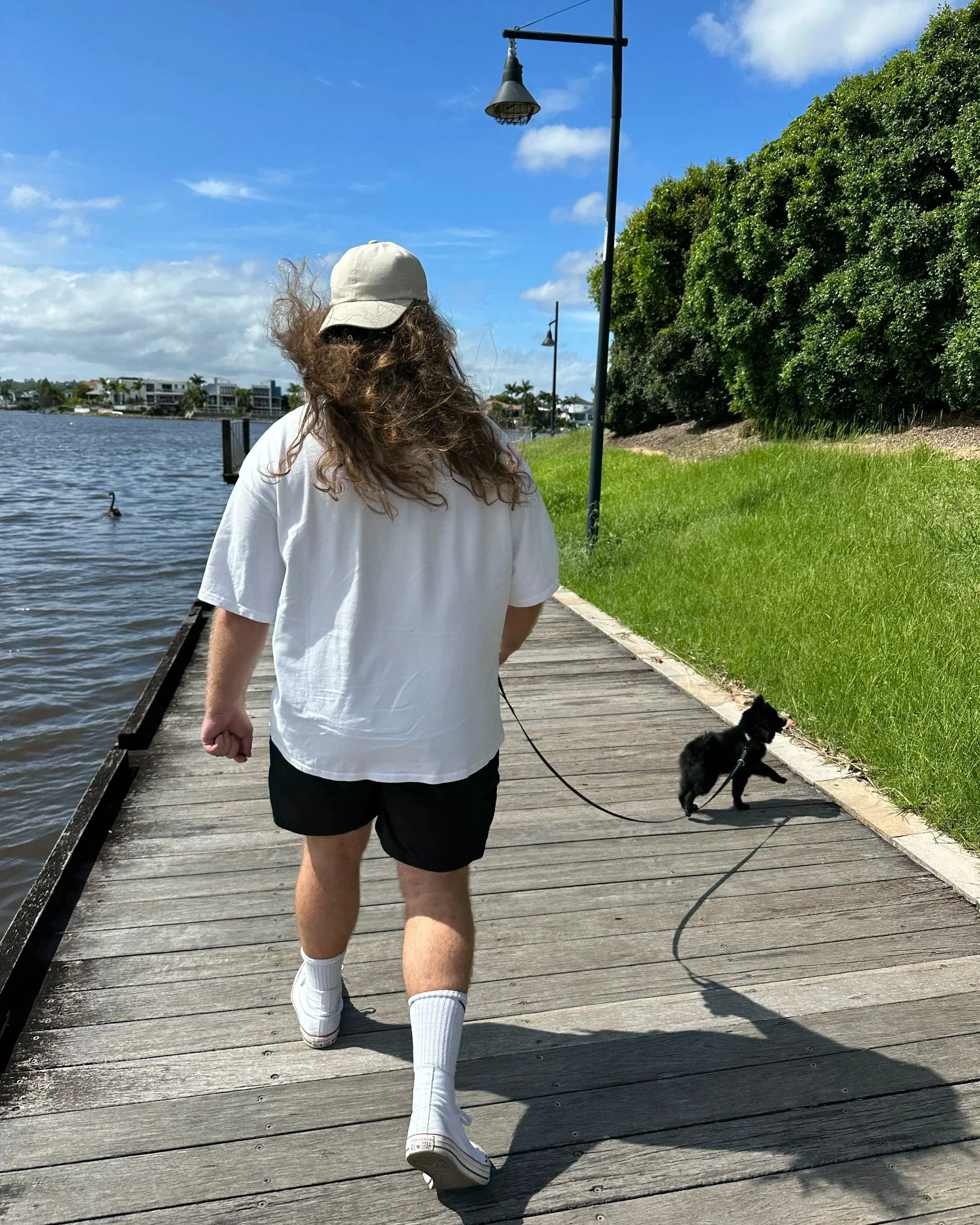 Person walking a small black dog on a wooden pathway beside a body of water, with a green grassy area, trees, and houses in the background, under a partly cloudy sky.