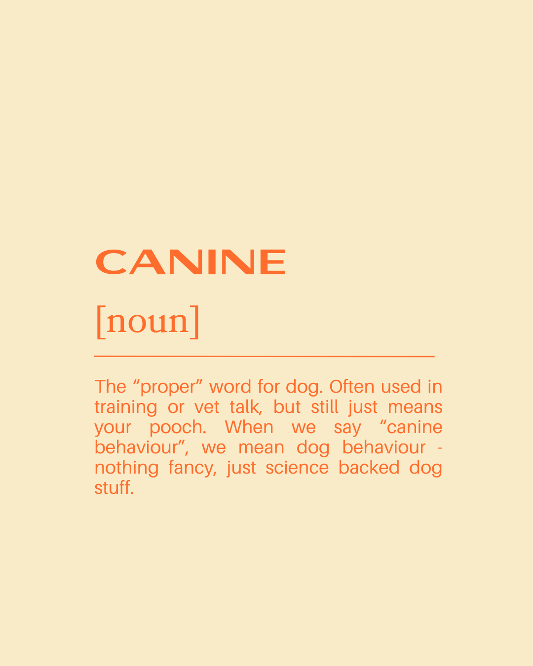 Definition of the word 'canine' with a beige background and orange text explaining that it means dog behavior and is used in training or vet talk.