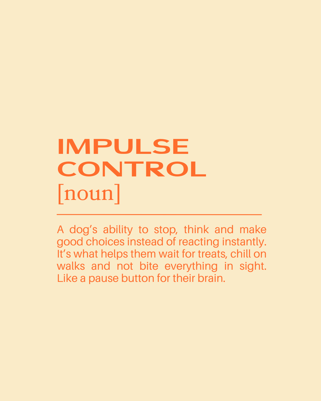 Definition of impulse control: a dog’s ability to stop, think and make good choices instead of reacting instantly. It helps them wait for treats, walk calmly, and not bite everything in sight, like a pause button for their brain.