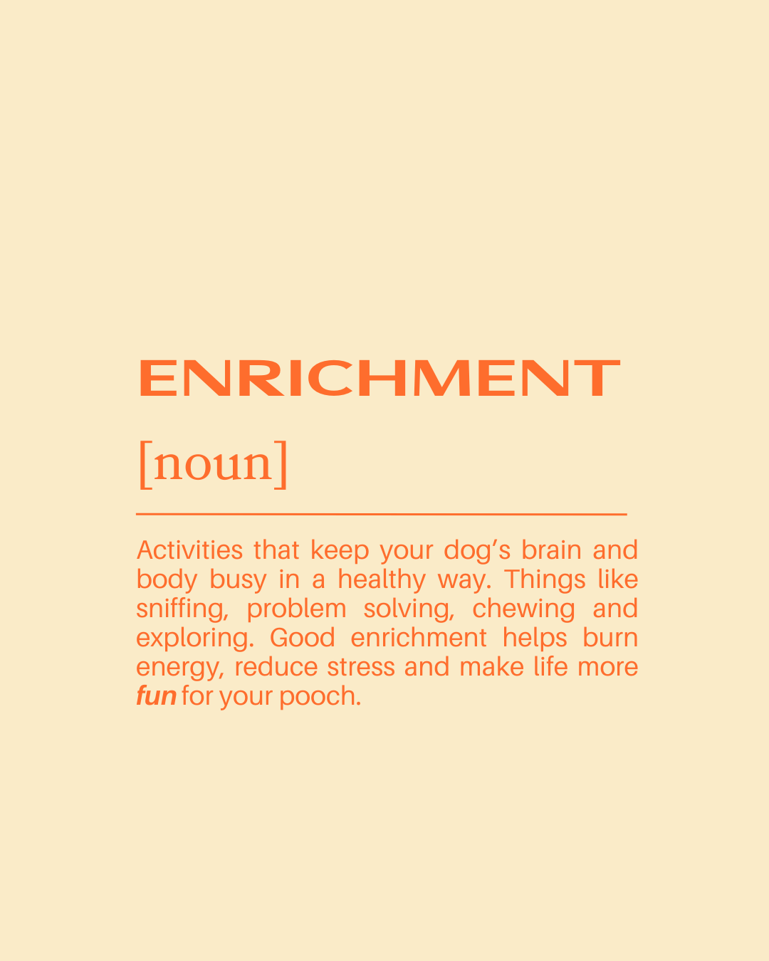 Definition of enrichment as activities that keep a dog's brain and body busy in a healthy way, including sniffing, problem solving, chewing, and exploring, which helps burn energy, reduce stress, and makes life more fun for the dog.
