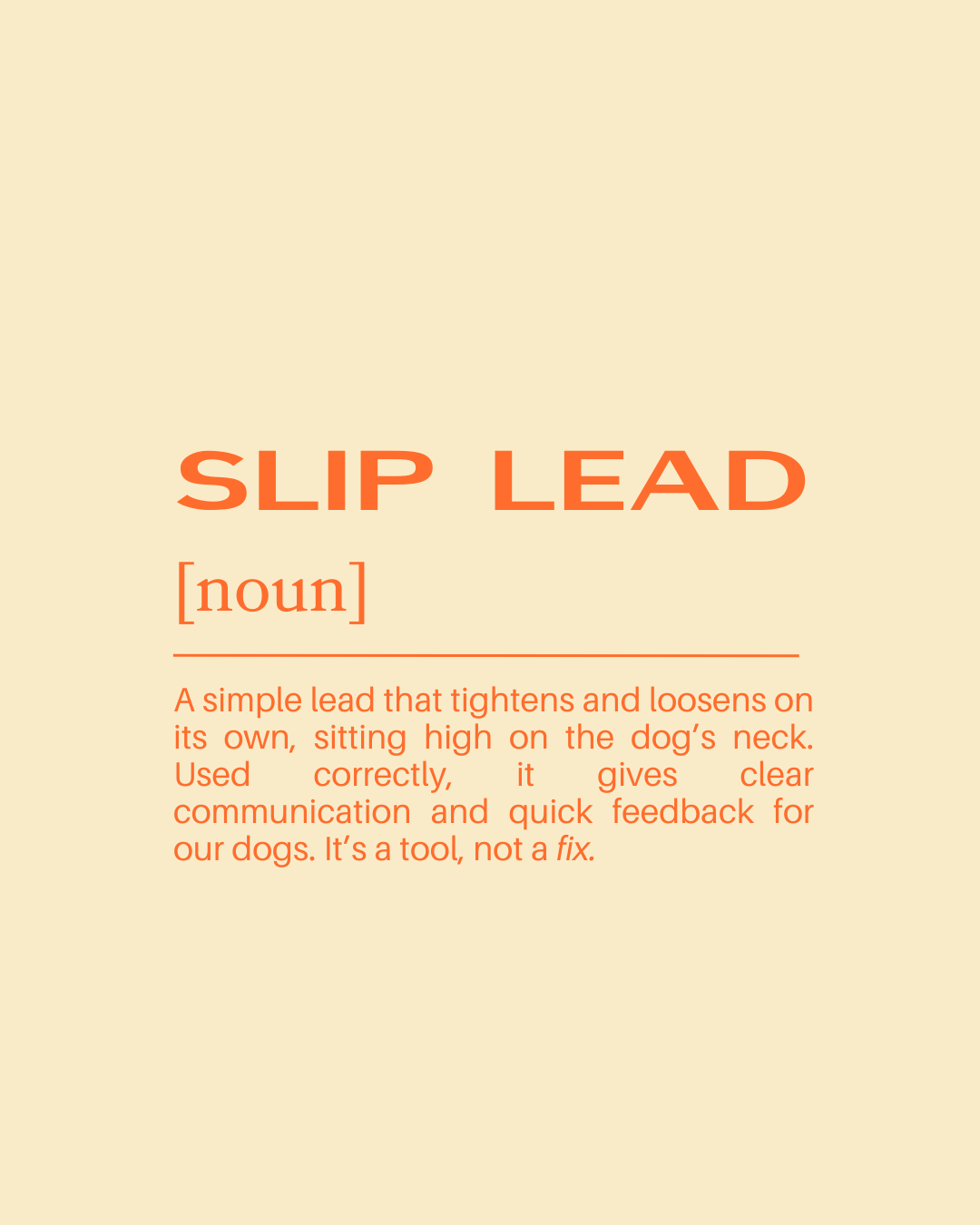 A close-up of a text-based image explaining the definition and purpose of a slip lead for dogs, with the word 'SLIP LEAD' in large orange letters and detailed description below.