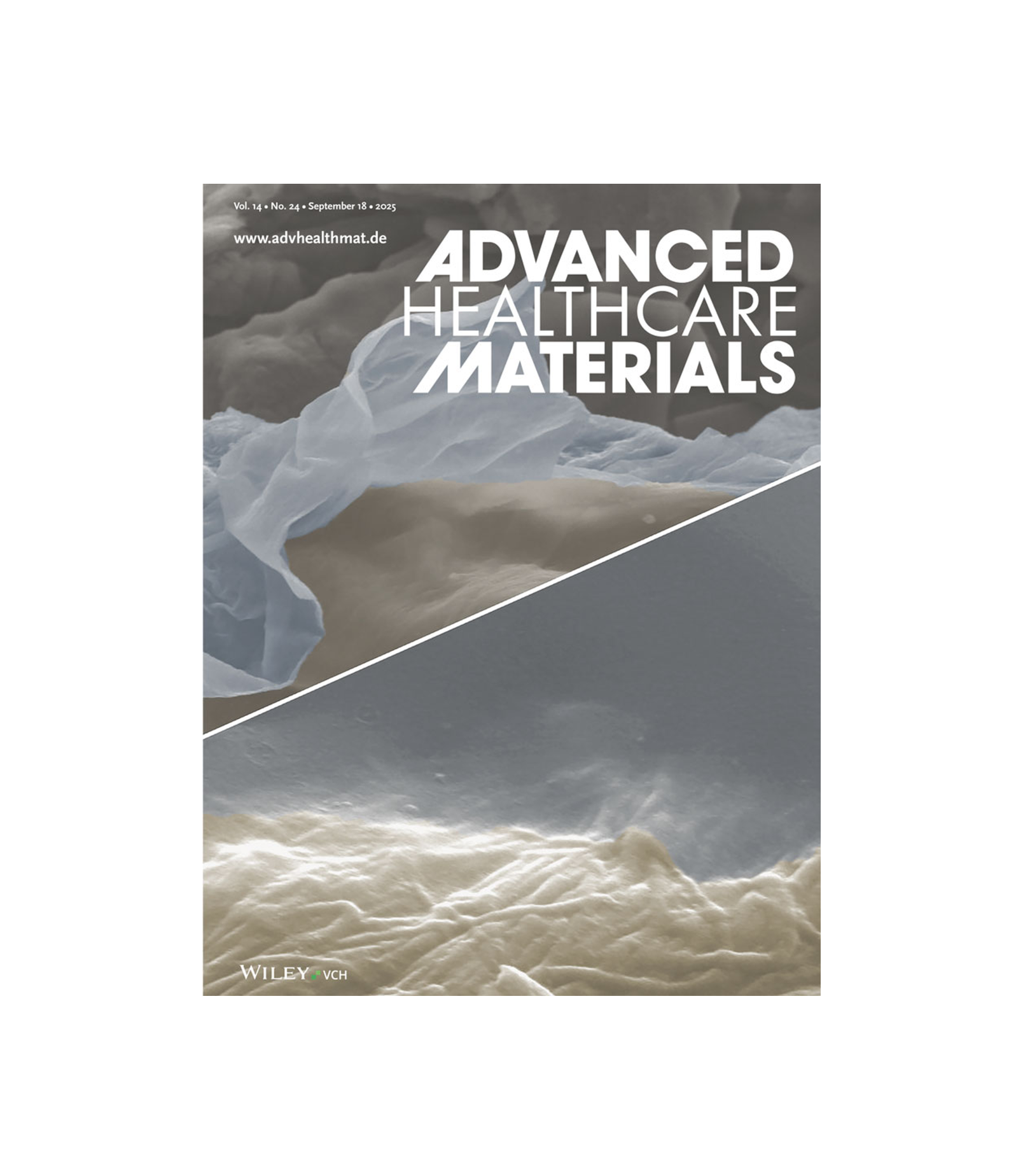 Stretchable Dry Adhesives for Robust Epidermal Biosignal Sensing