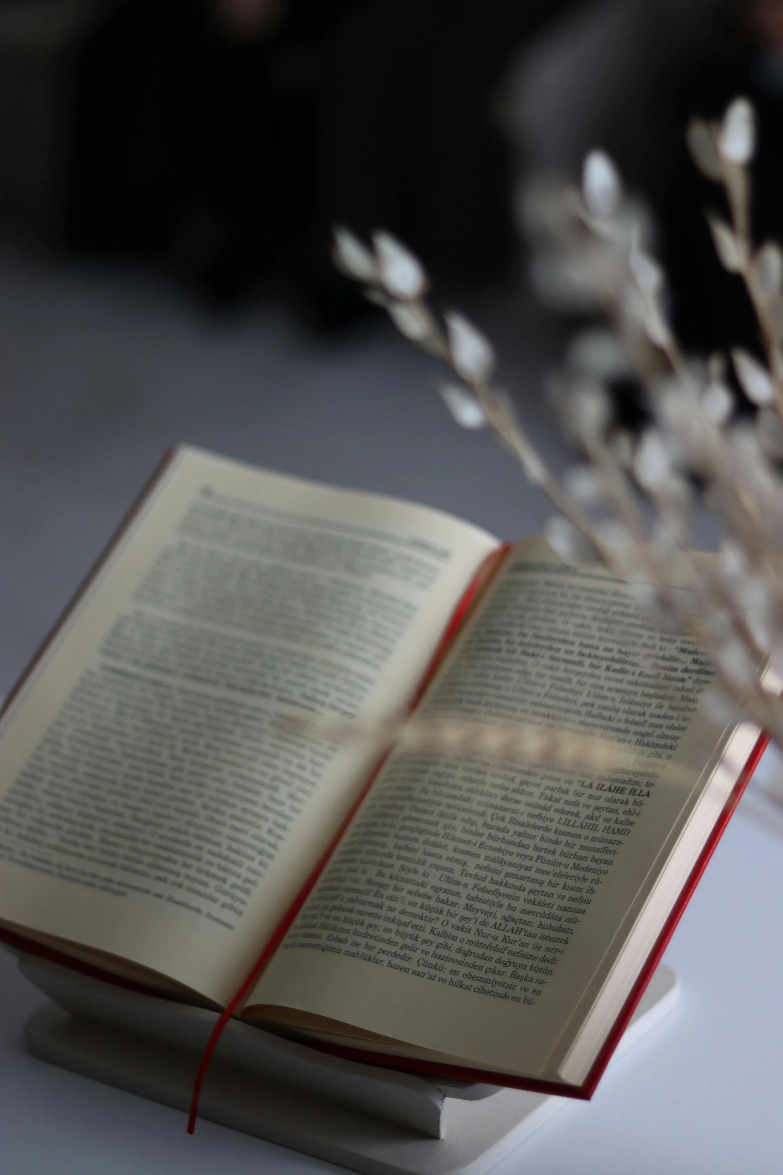 An open book with a red ribbon bookmark on top of a closed white book, placed on a white surface. Out-of-focus cotton stems are in the foreground.