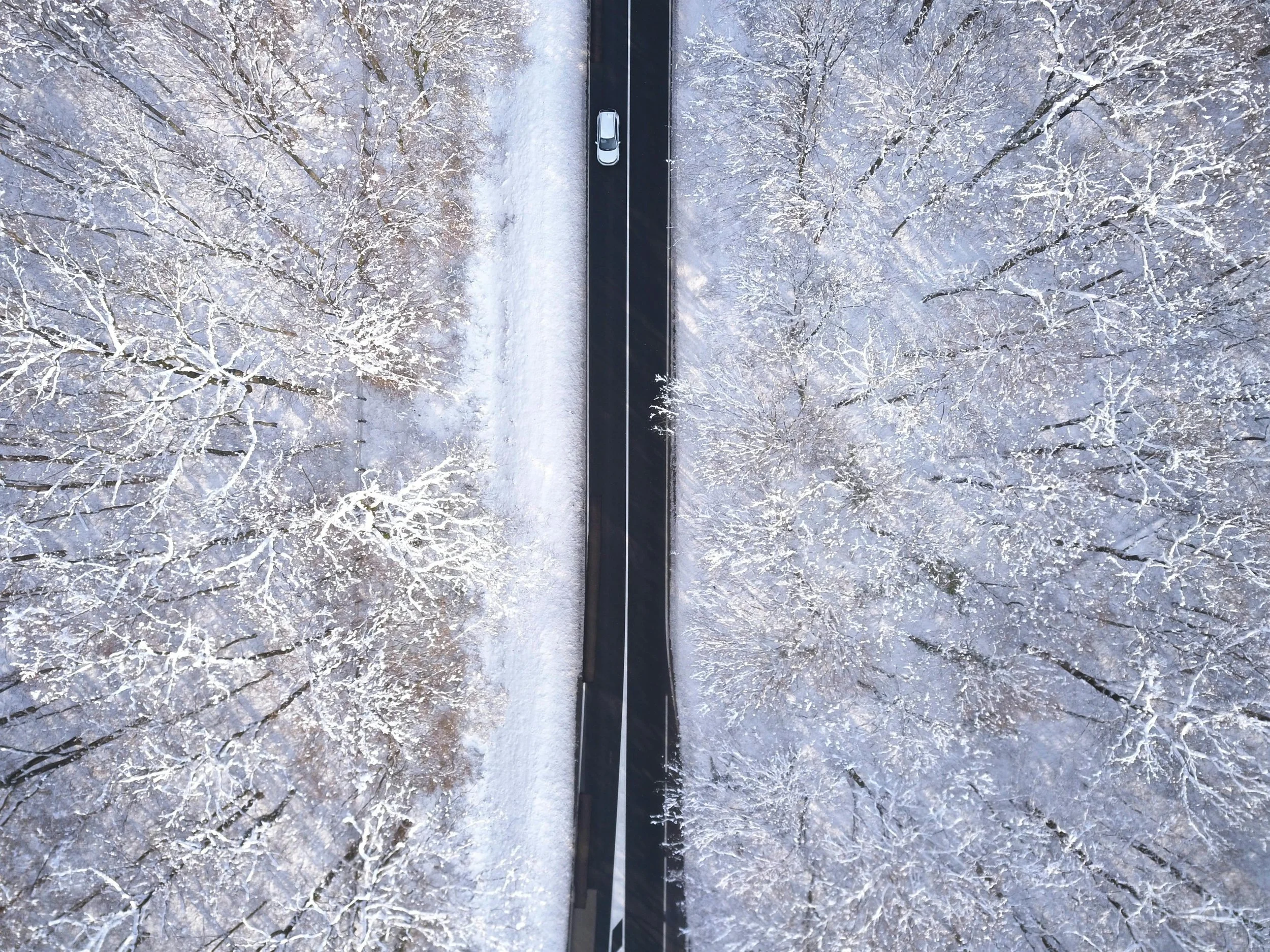 An aerial view of a snowy forest with trees covered in snow, a parked white car on a cleared road running through the forest, and snow-covered ground.