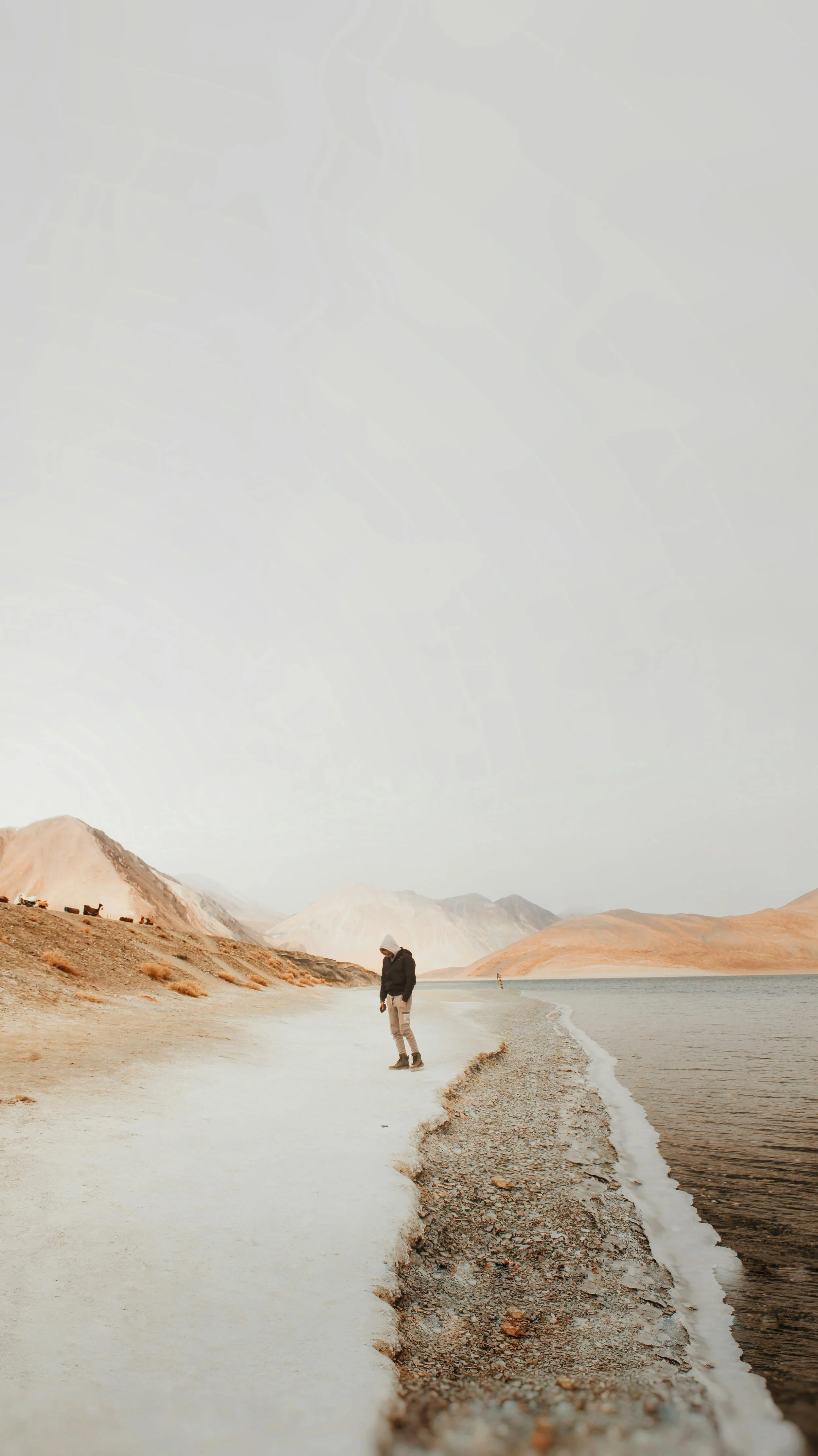 A person stands alone on a winding dirt trail next to a body of water, with mountains in the distance under a cloudy sky.