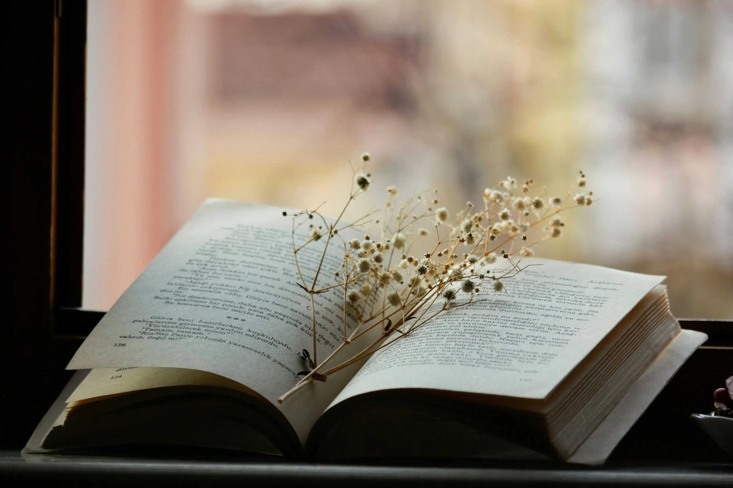 Open book with dried flowers resting on pages, placed on a windowsill with blurred outdoor background.