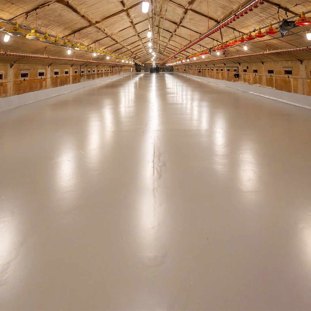 Hygienic Poultry house flooring