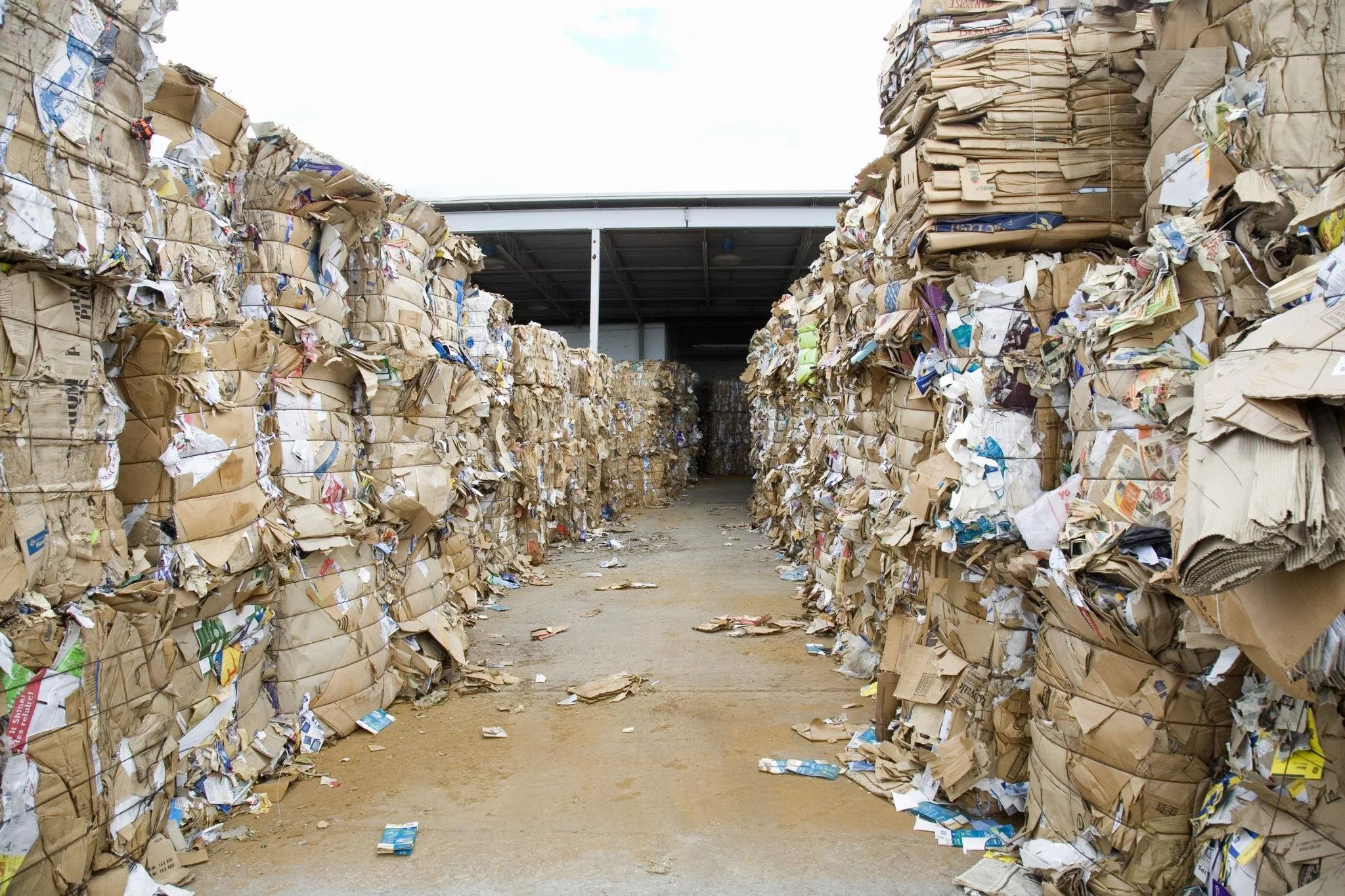 Stop Hauling Air: How Baling Cardboard Cuts Waste Costs in Half