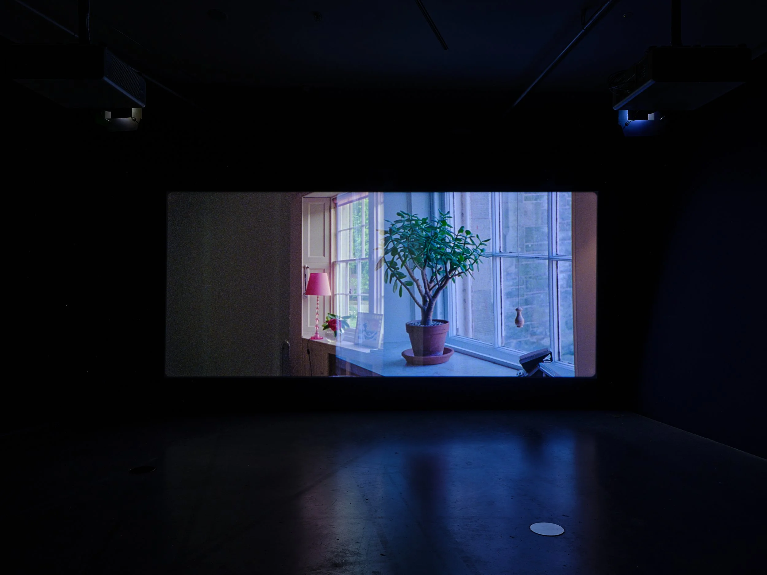 Tilda Swinton-Ongoing, Eye Filmmuseum, �studiohanswilschut (6).jpg