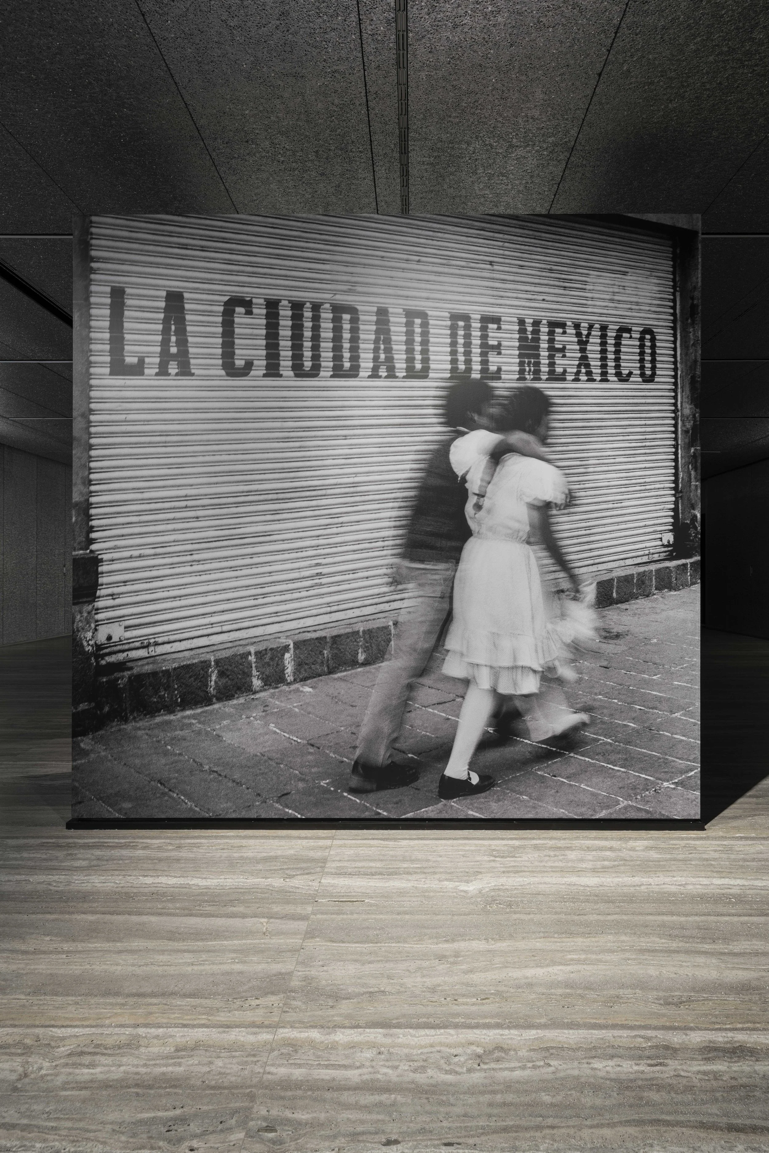 Fondazione Prada_Sueno Perro_14.jpg