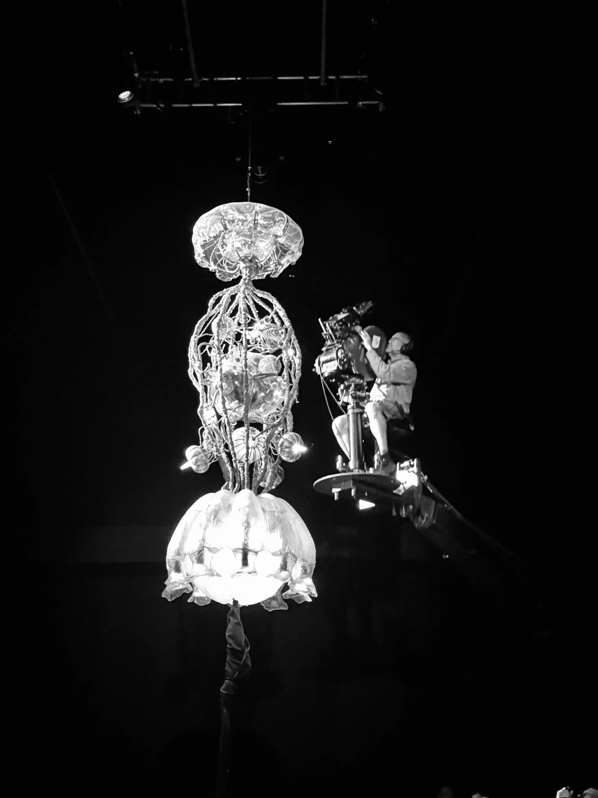 Renamed Image Selects_Spaceship-Miniature_01.jpg