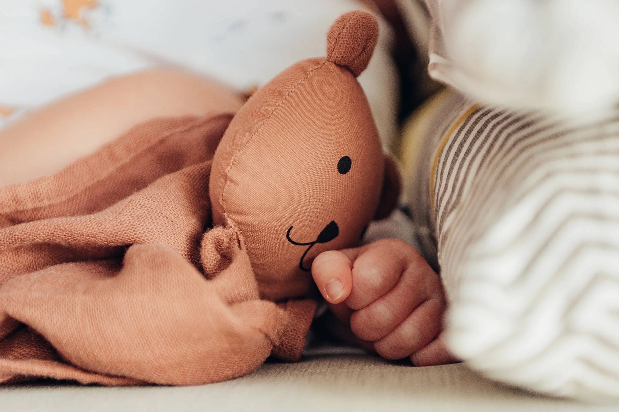 petite main bébé et doudou