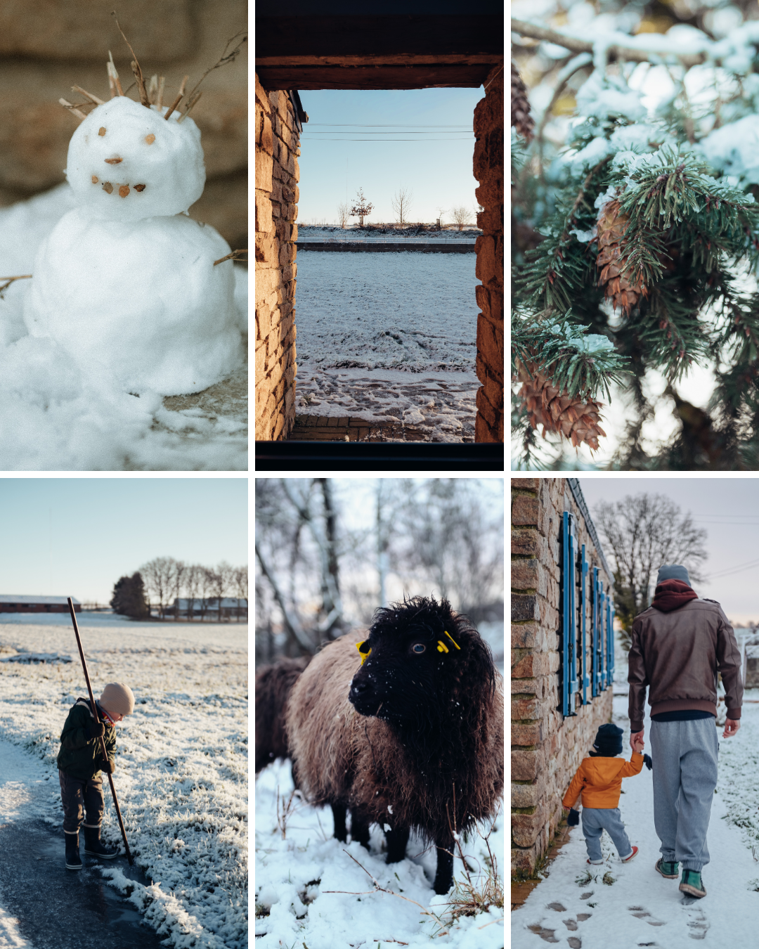 Une collection de six photos d'hiver : un bonhomme de neige, une vue d'une fenêtre sur un paysage enneigé, des aiguilles de pin avec de la neige, un enfant avec un bâton dans un champ enneigé, un mouton noir avec une laine épaisse dans la neige, un adulte et un enfant marchant dans la neige.