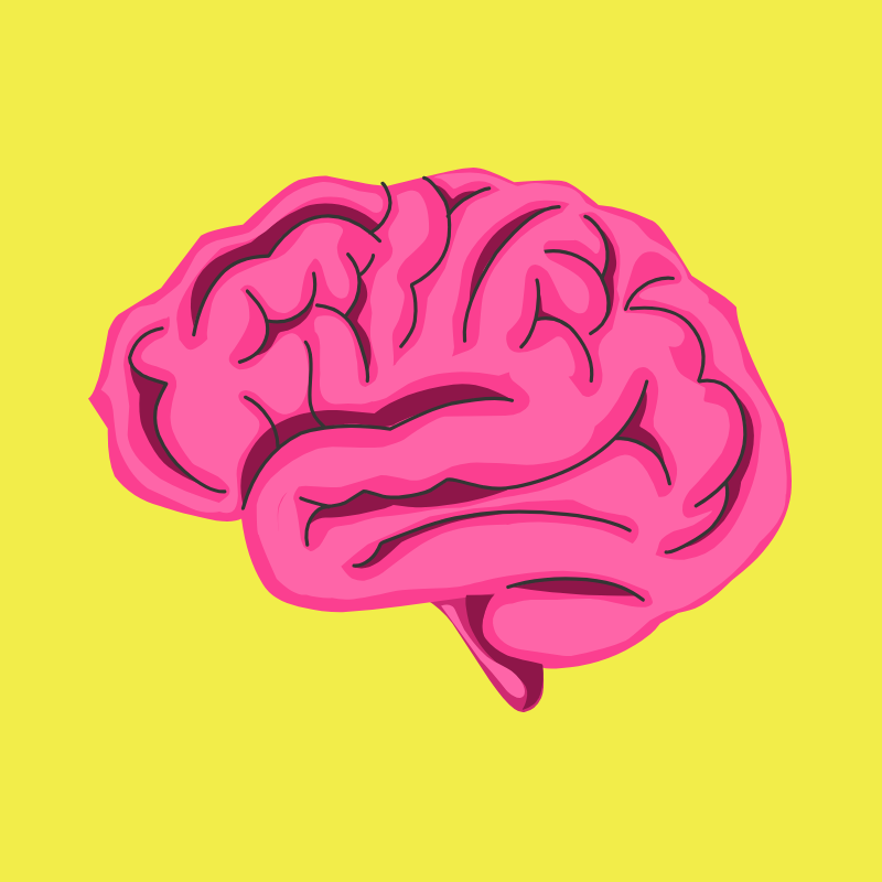 Illustration of a pink brain on a yellow background.