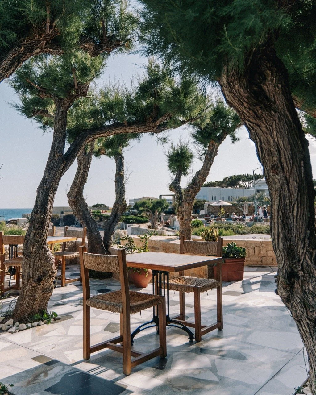 Nalu-Taverna-1-30 Large.jpeg