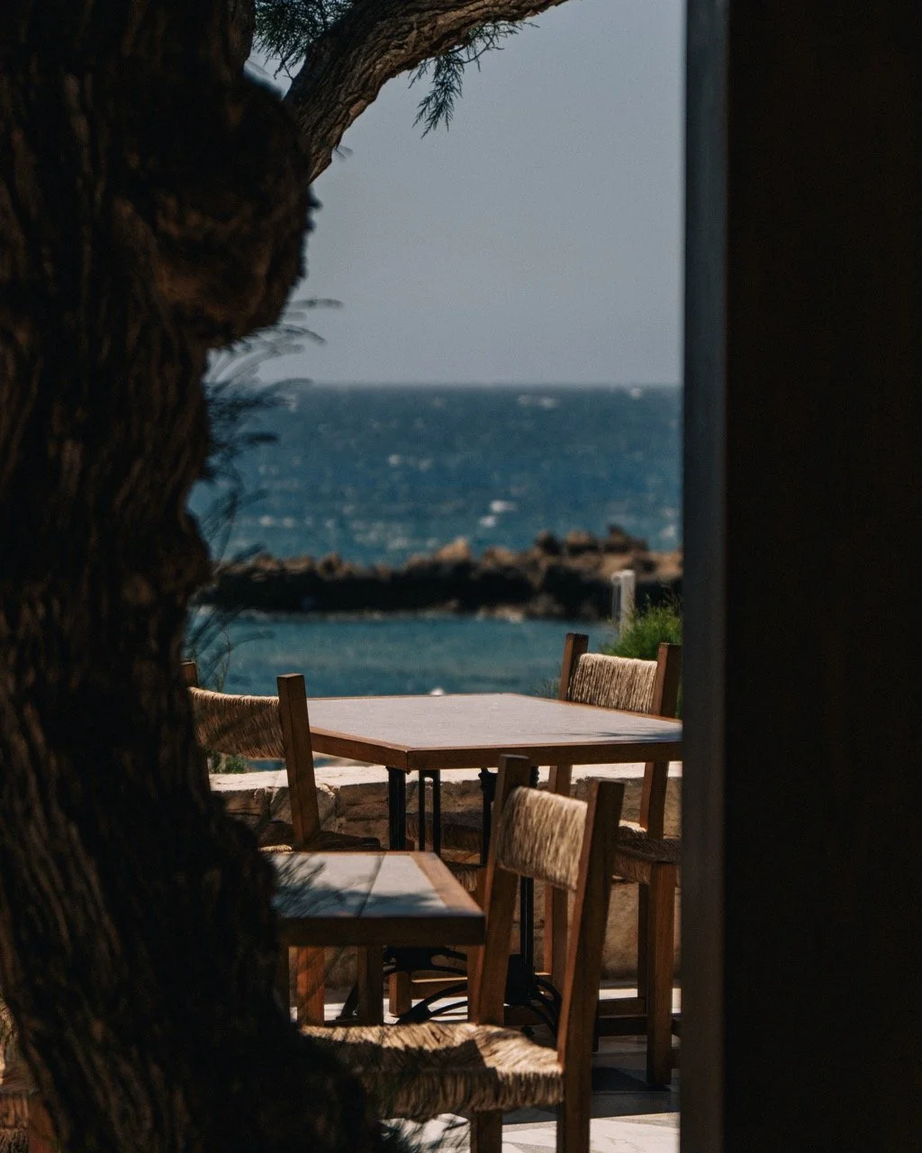 Nalu-Taverna-1-4 Large.jpeg