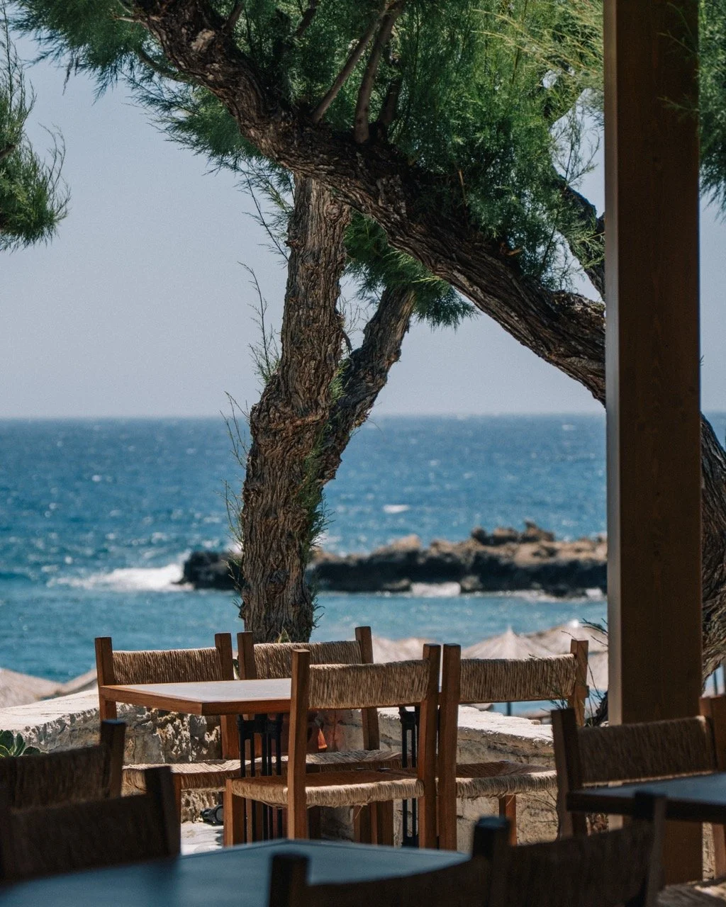 Nalu-Taverna-1-8 Large.jpeg