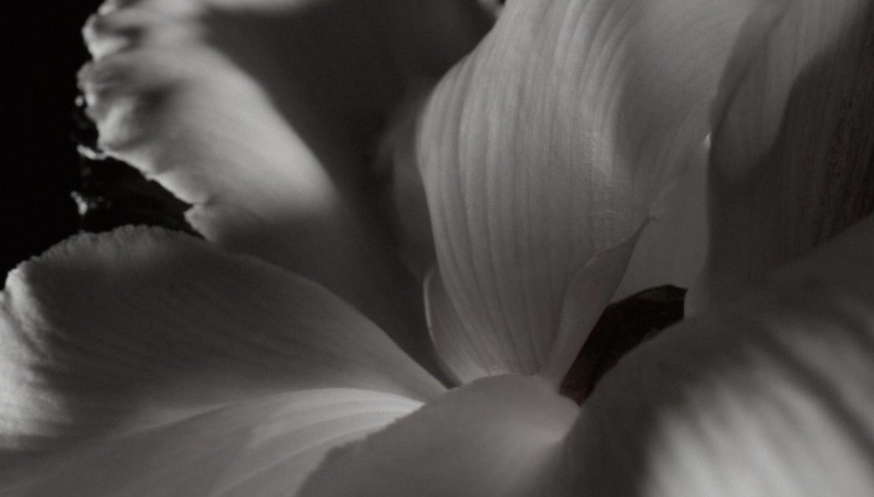 Capture d’écran 2025-12-22 à 11.15.43.png