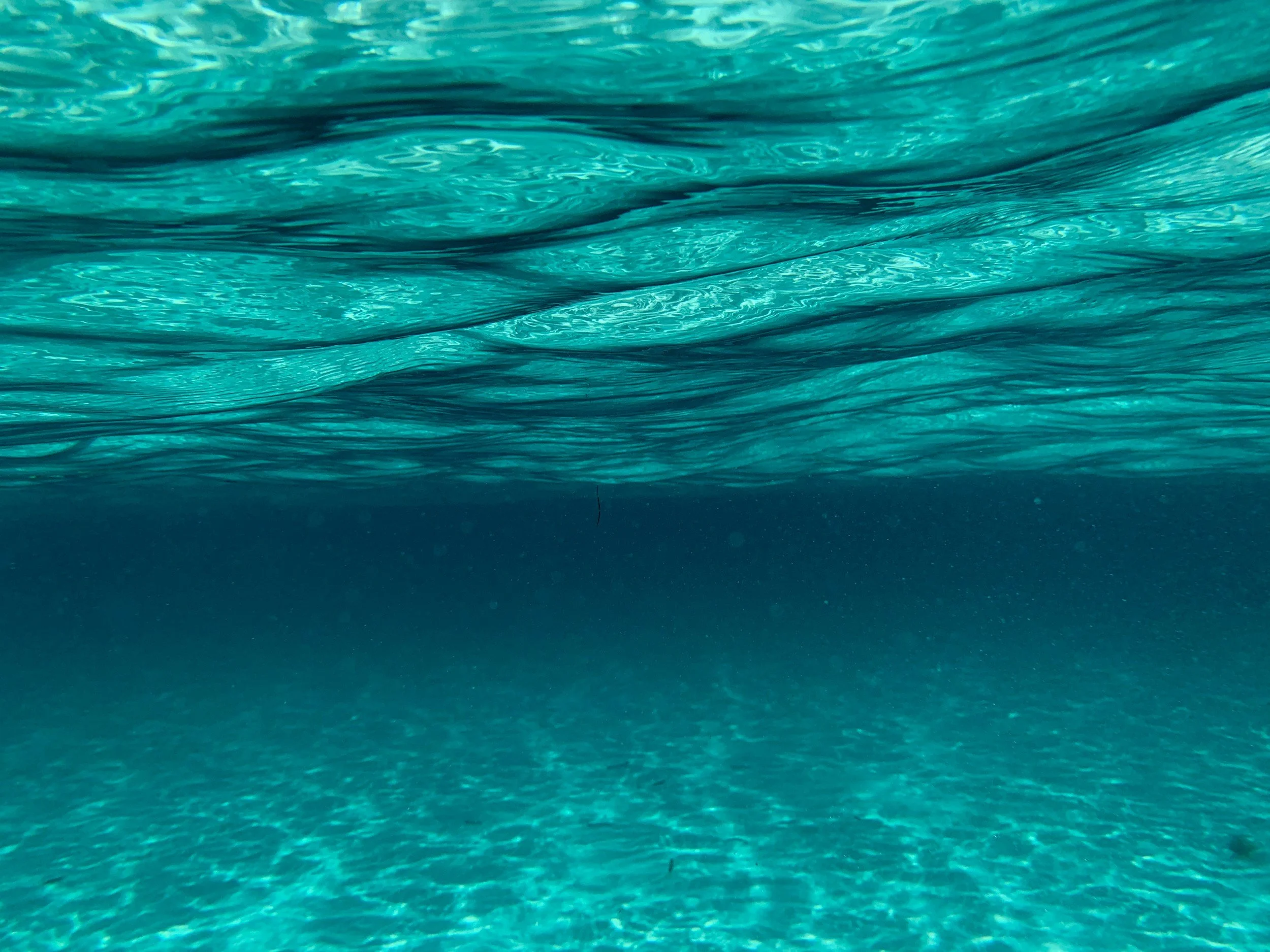 Underwater view of the ocean with sunlight reflecting on the water surface.