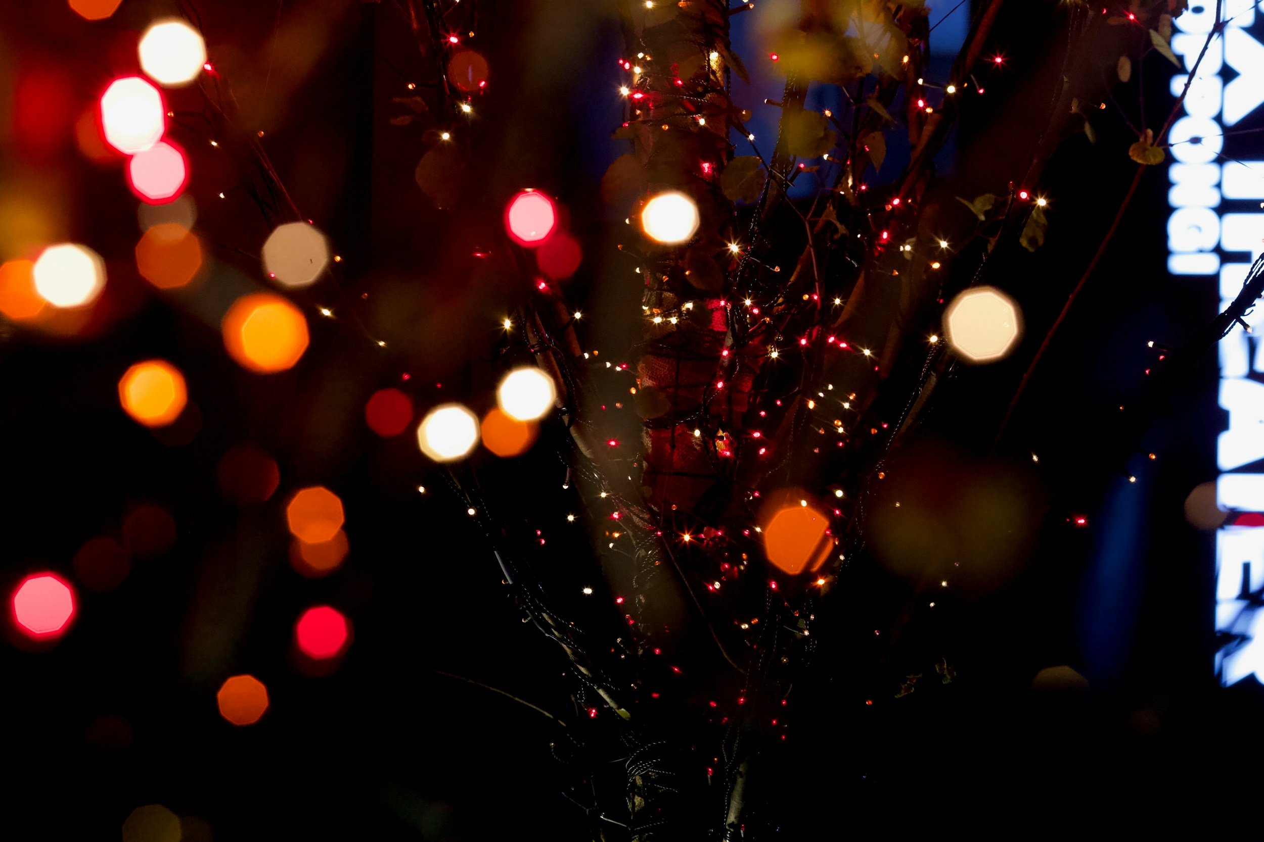 Close-up of a tree decorated with colorful string lights, creating a bokeh effect with blurred lights in the foreground and background.