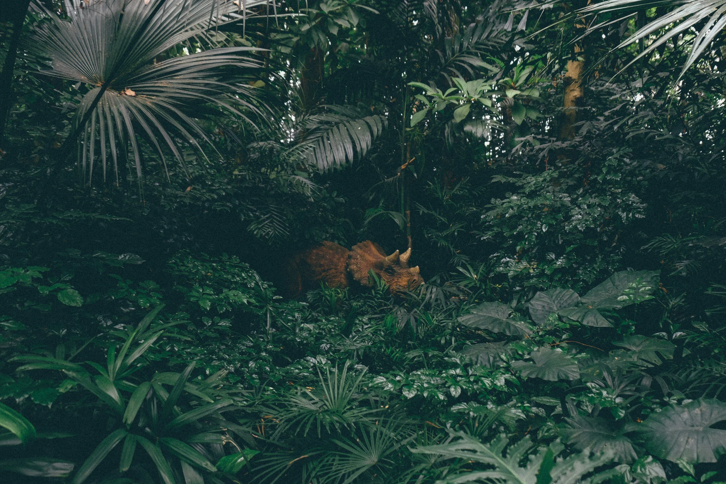 Various green tropical leaves, some with holes, overlapping in a dense arrangement.