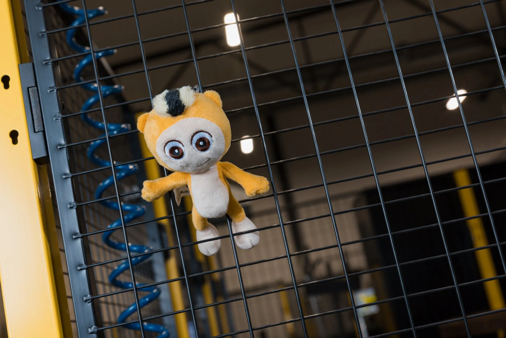 Axelent Employer Branding2 WEBB-57.jpg