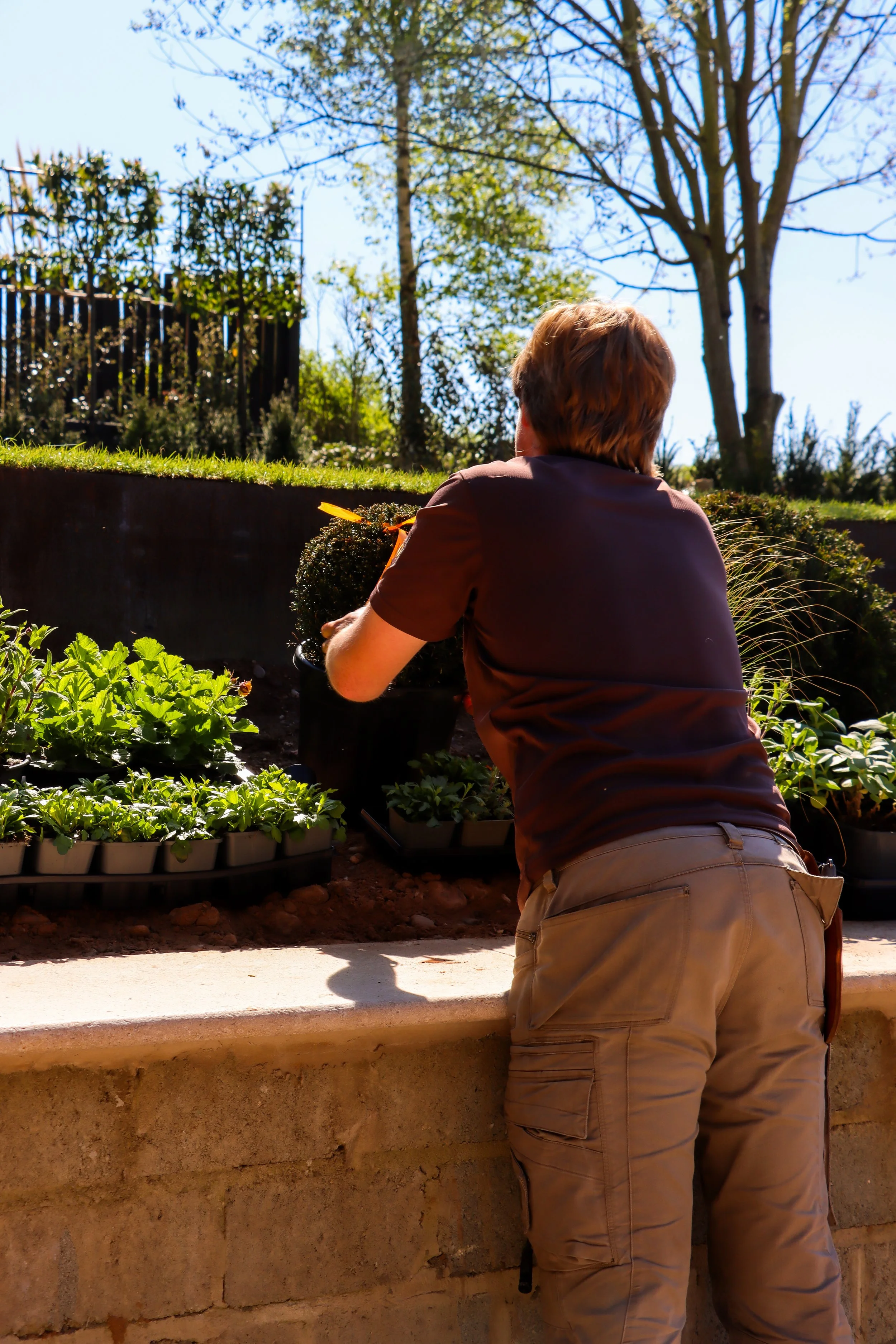 ThePlantingTeam_GorranShoot-12.jpg