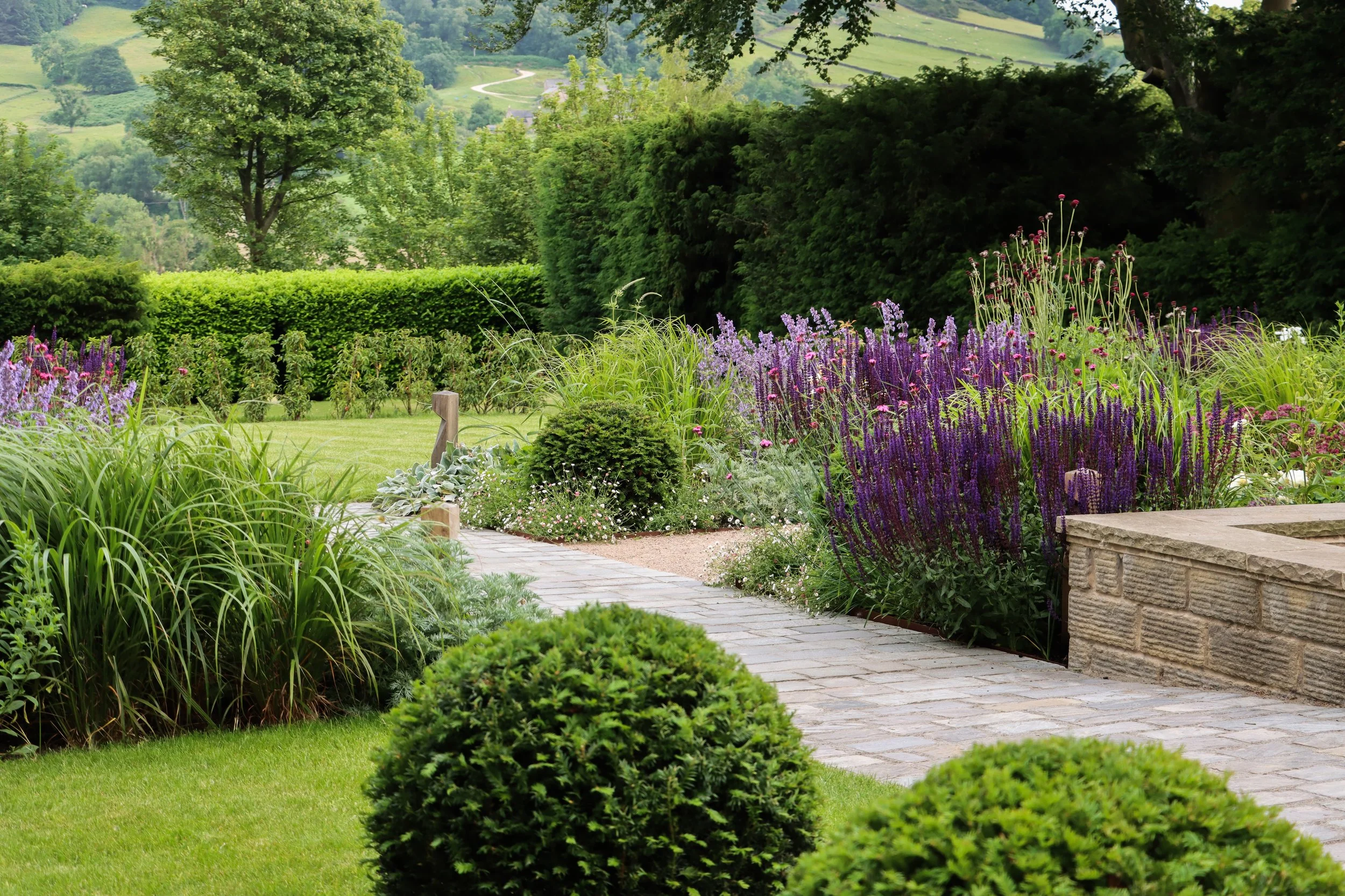 Perfect Buxus All Year: The Complete Care Guide