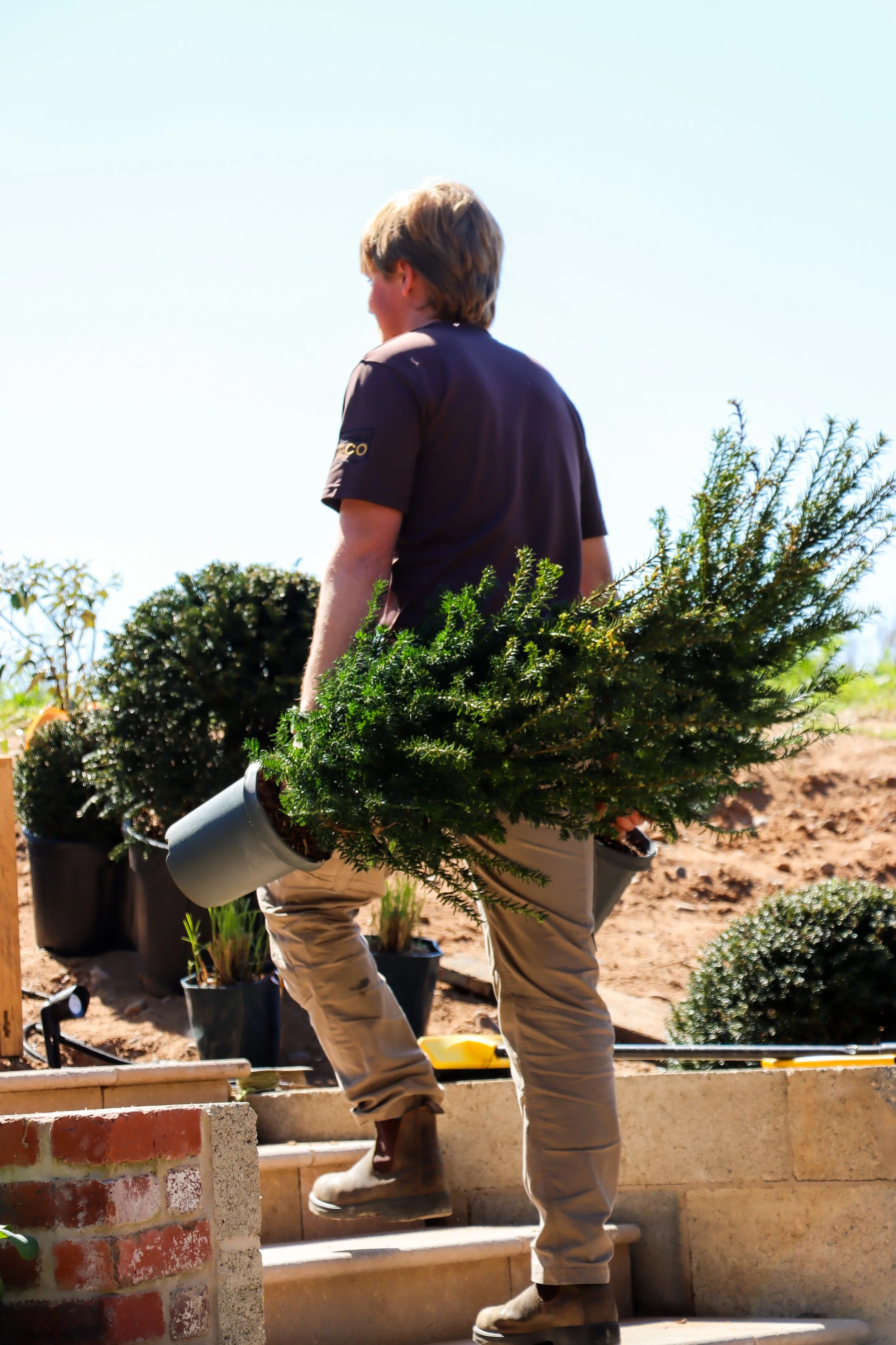 ThePlantingTeam_GorranShoot-9.jpg