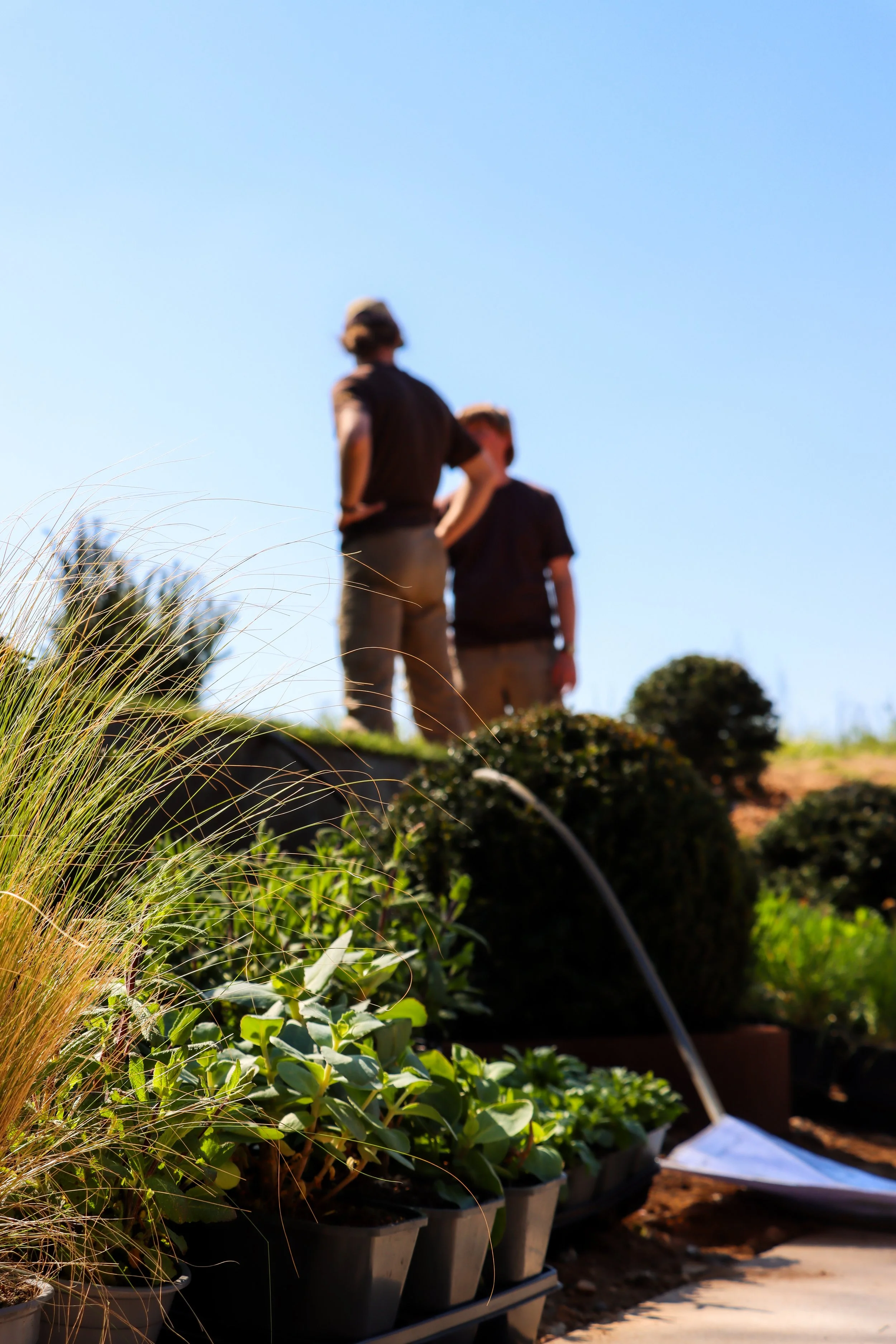 ThePlantingTeam_GorranShoot-6.jpg