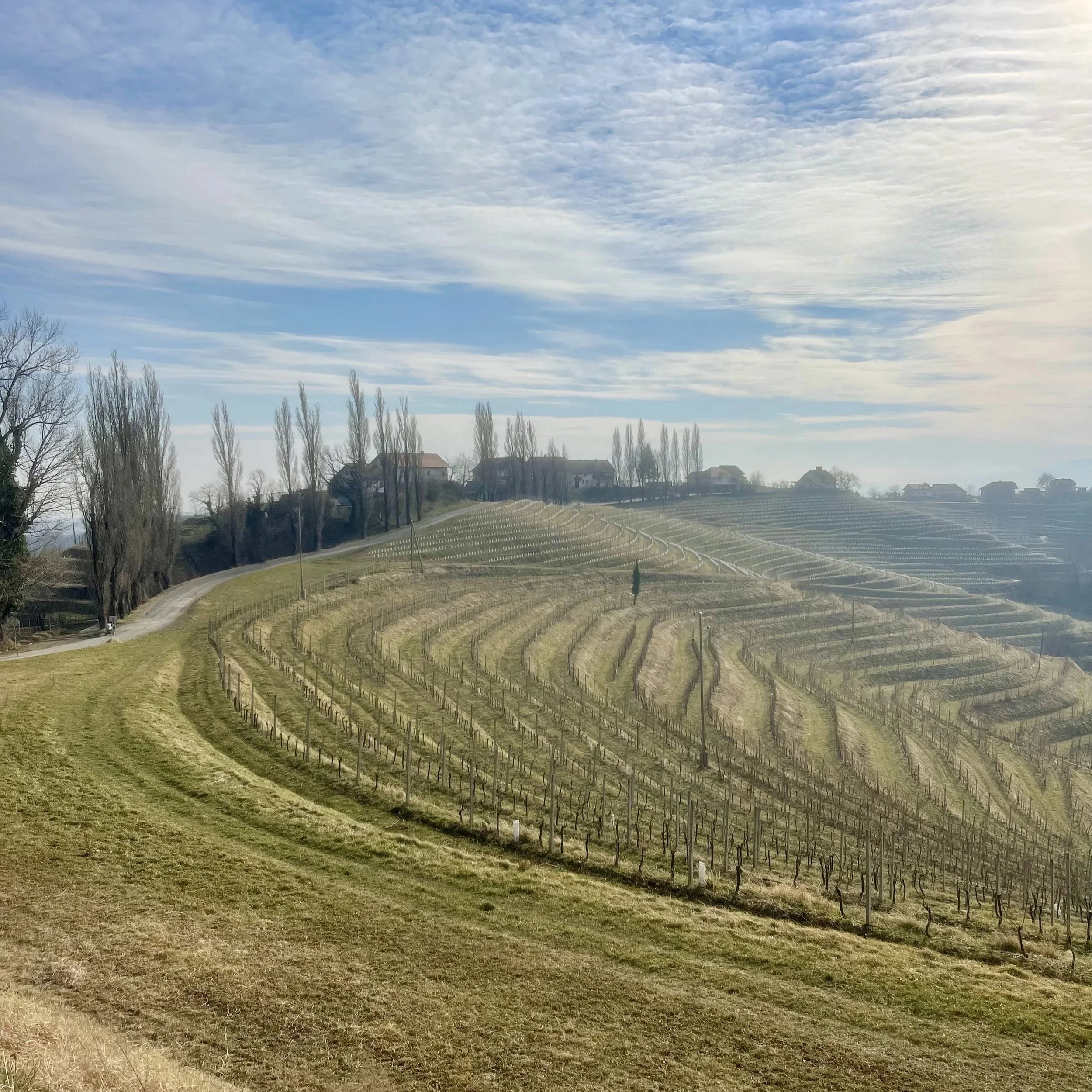 On the reasons we drink