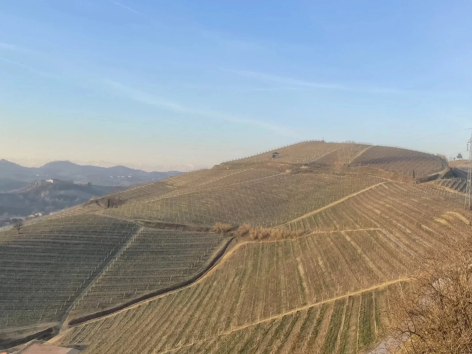 The third hill: Roero