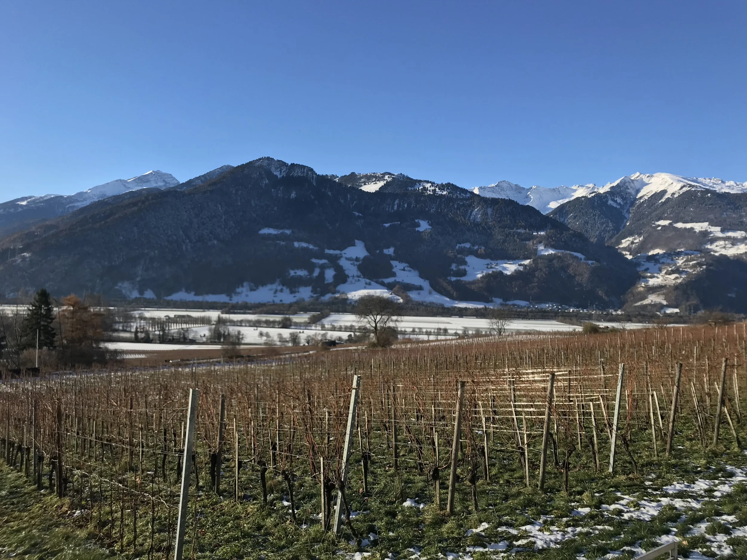 Bündner Herrschaft: A Well-Kept Secret