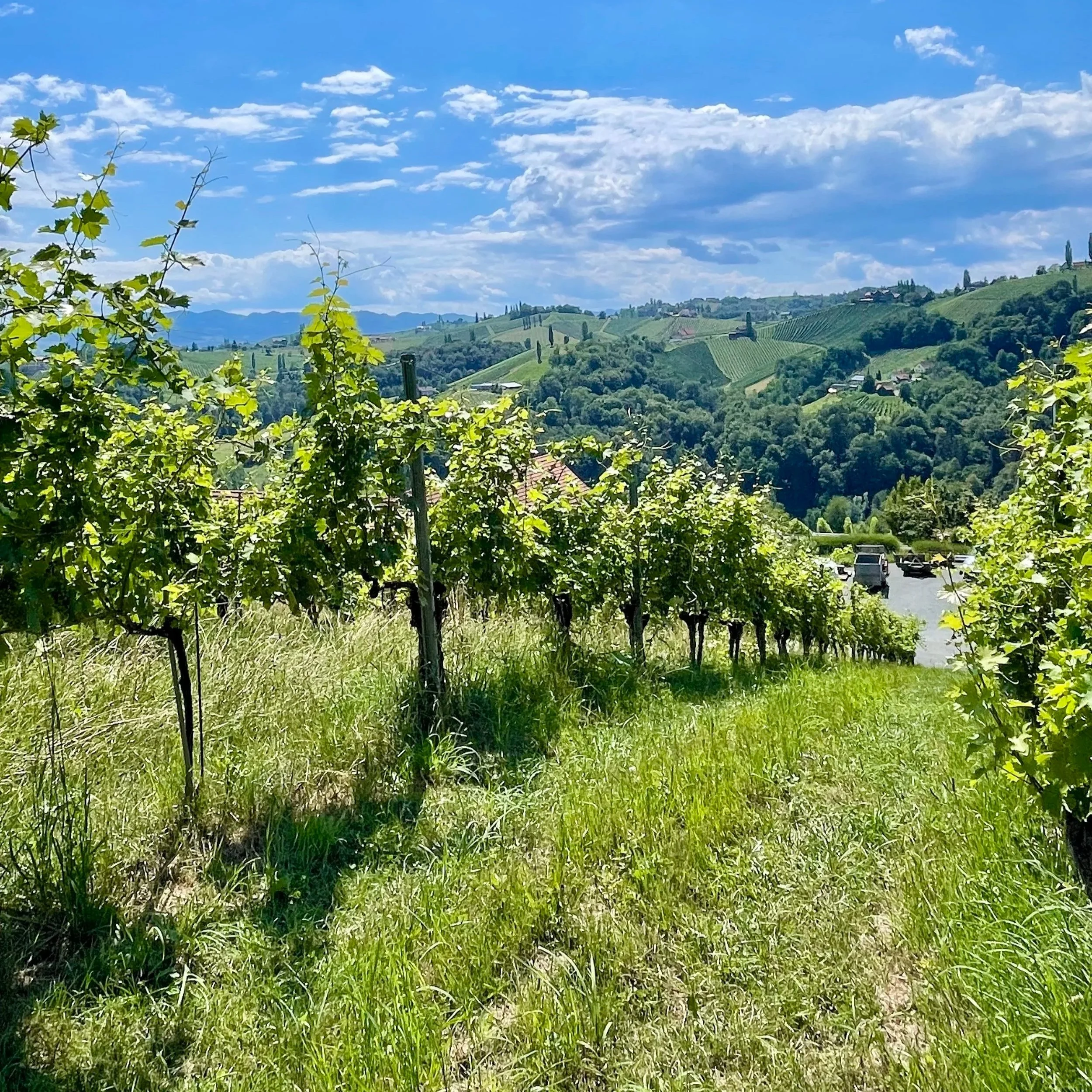 Südsteiermark: where to begin