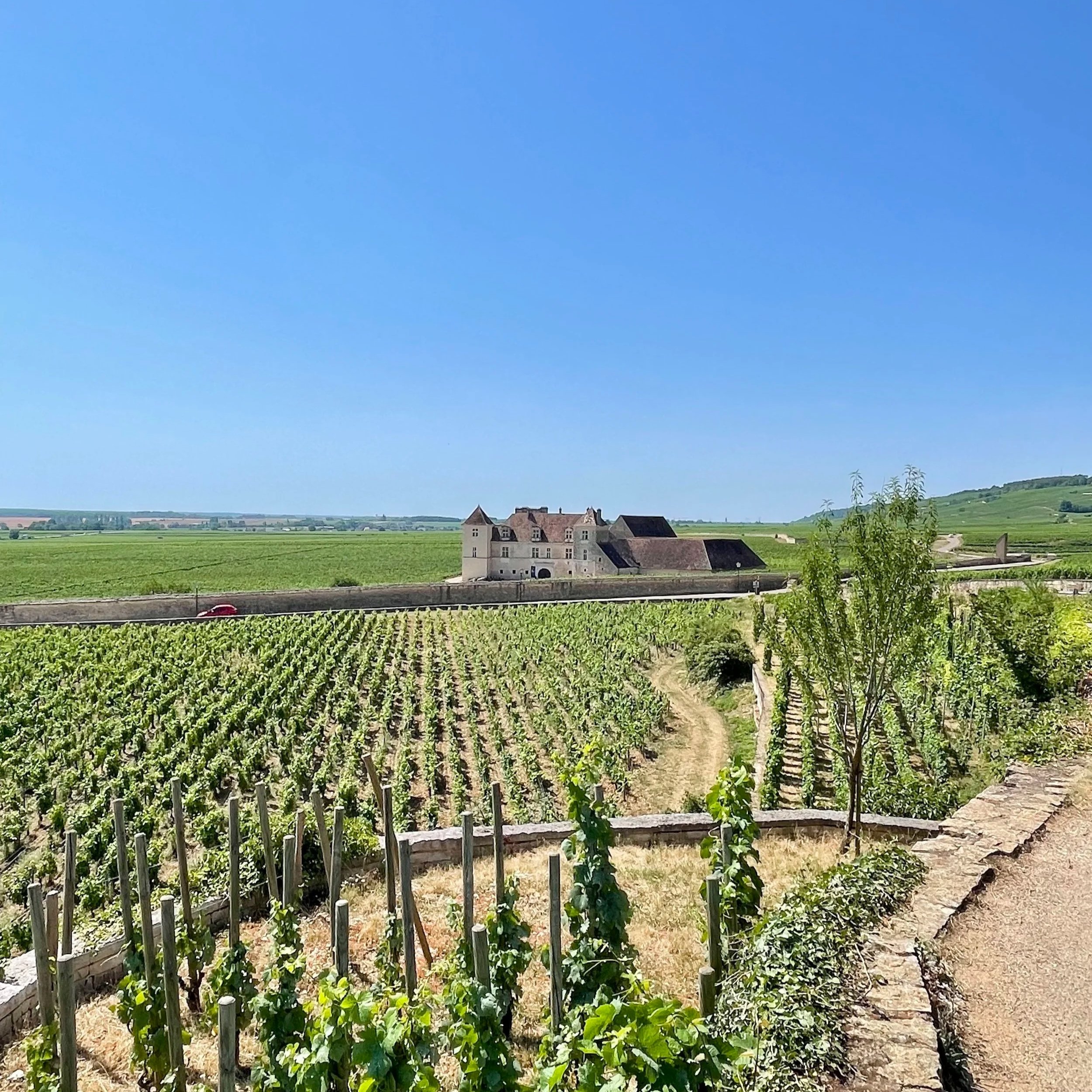 The Confrerie du Tastevin
