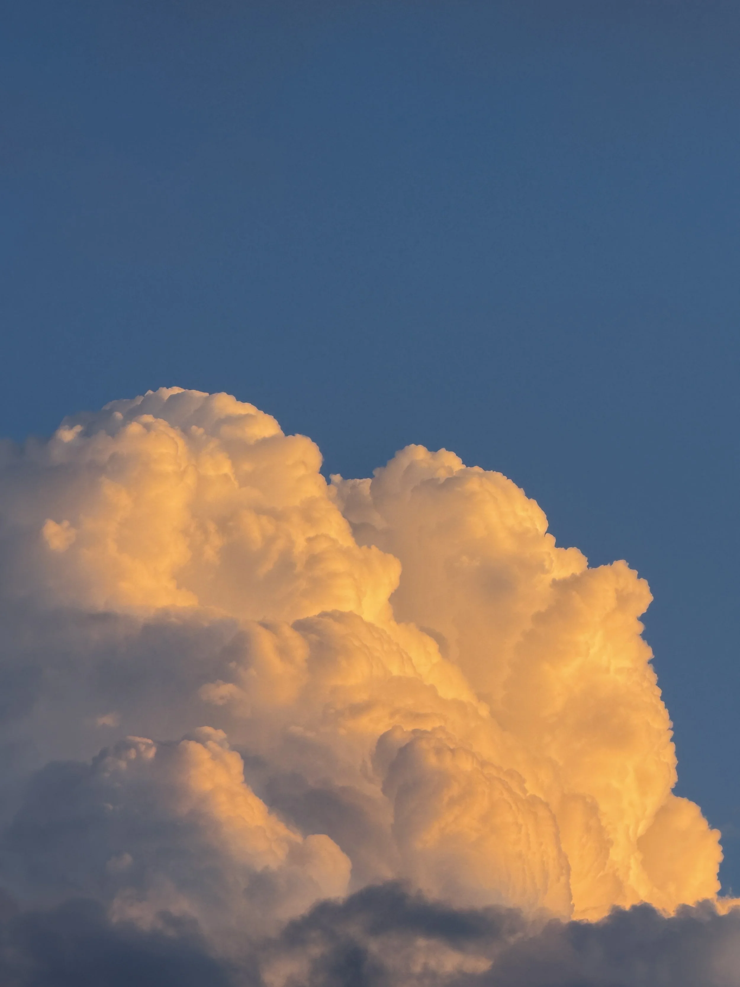 Clouds illuminated by the setting or rising sun against a blue sky.