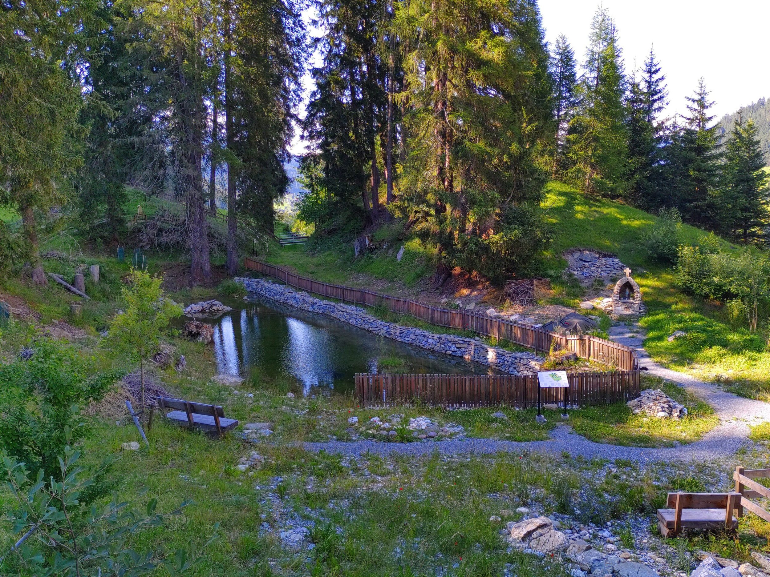 Weiherrenaturierung, Kt GR ©AtraNaturschutz