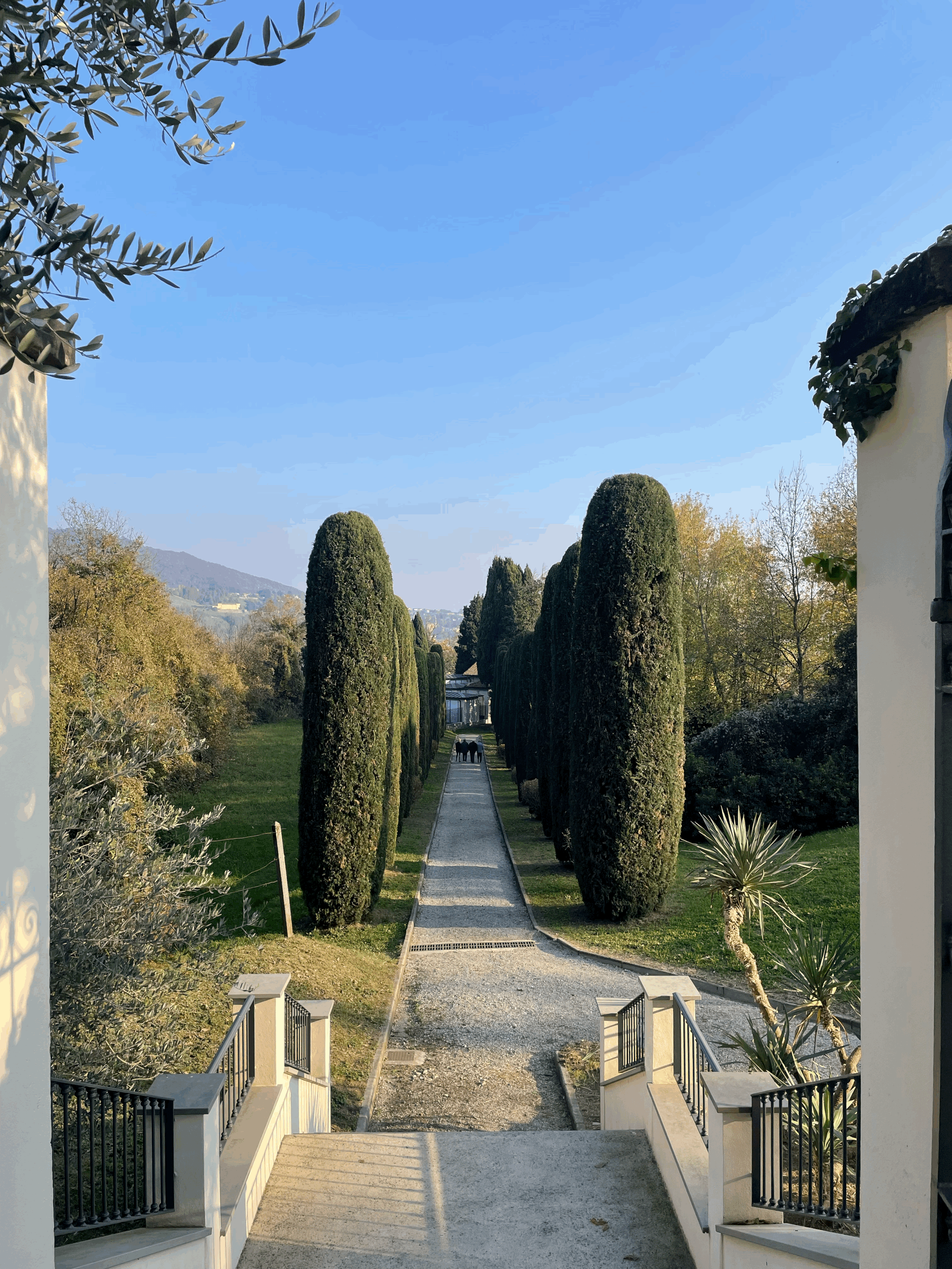 «Privi di meraviglia restiamo sordi al sublime»