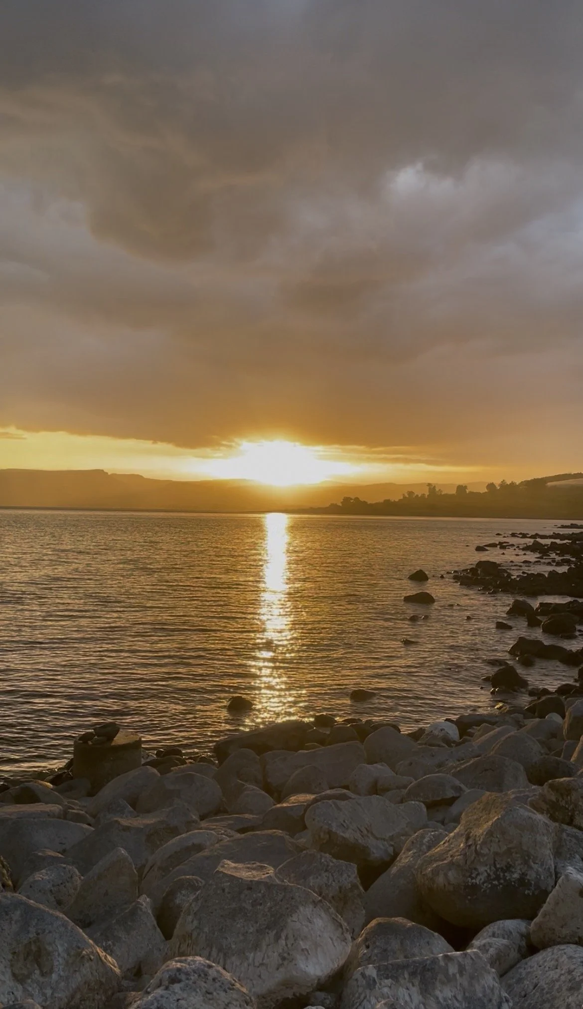 «E se non puoi la vita che desideri»