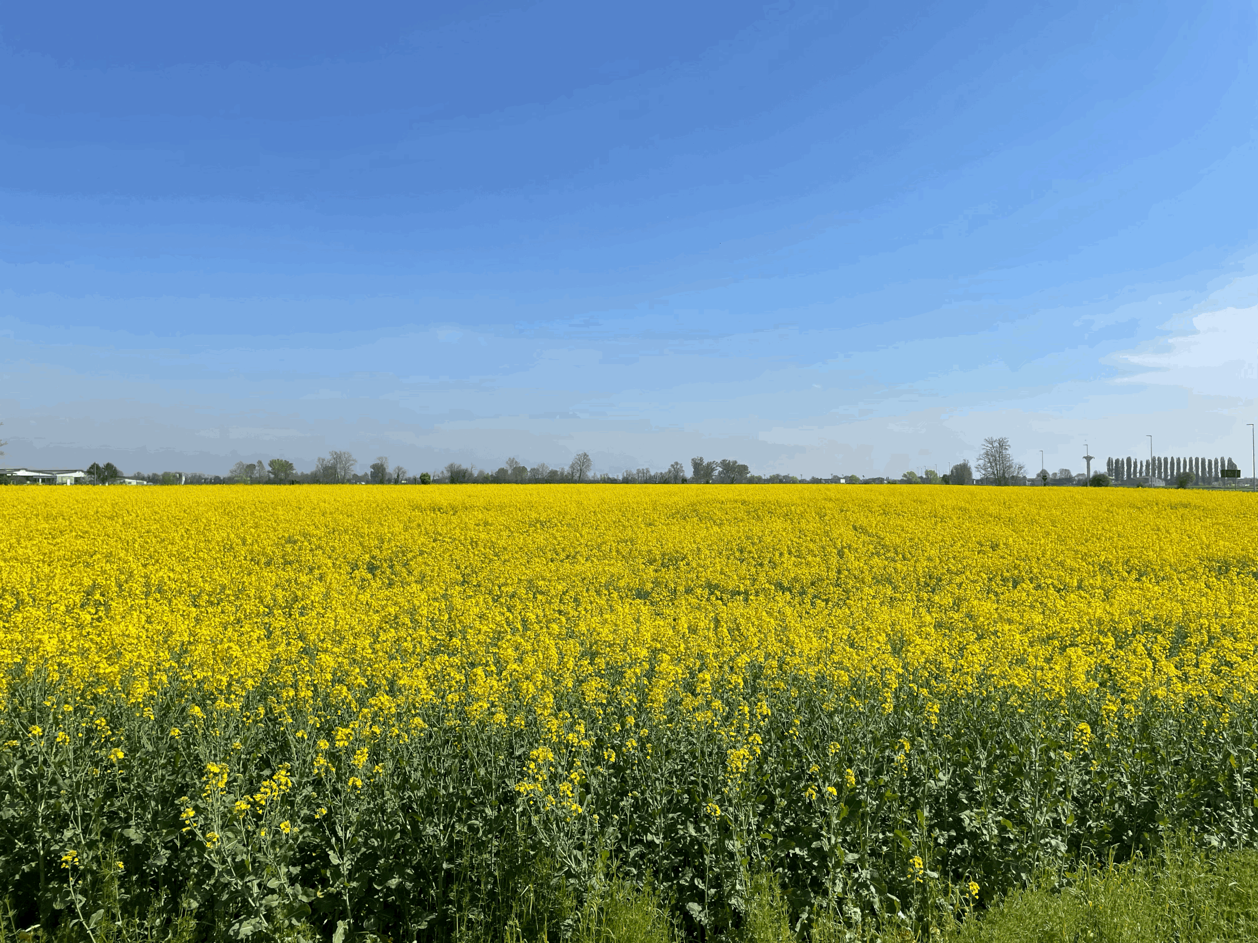 «Cosa te ne fai di quello che desideri?»