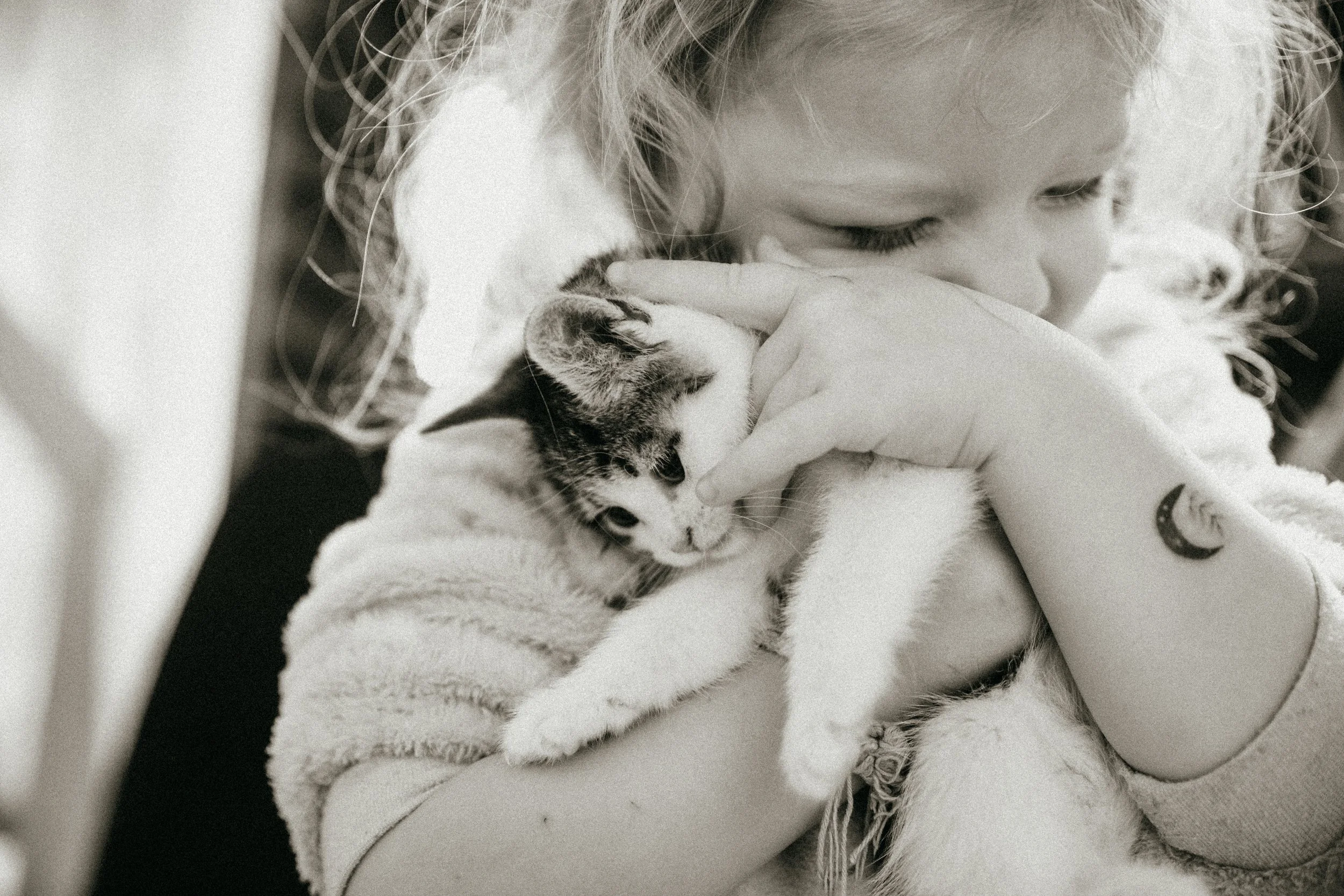 Une jeune fille tient un chaton blanc à rayures noires contre elle dans ses bras, en le caressant doucement, dans une ambiance chaleureuse et intime.