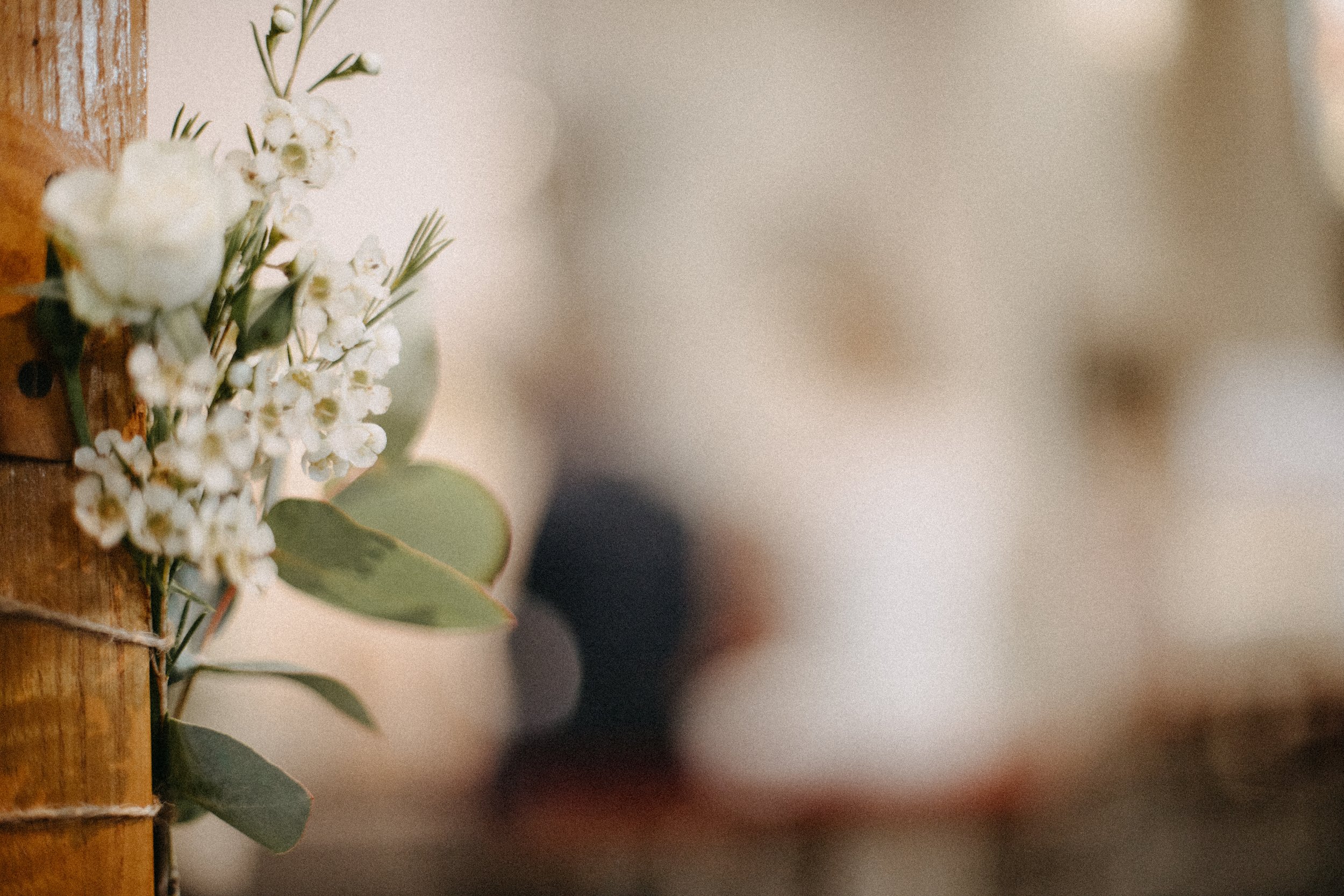 Petites fleurs blanches et feuilles vertes accrochées à un support en bois, flou en arrière-plan.