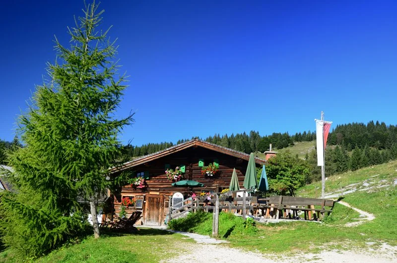 Abtenau_Sommer_Postalm(c)www.abtenau-info (89).jpg