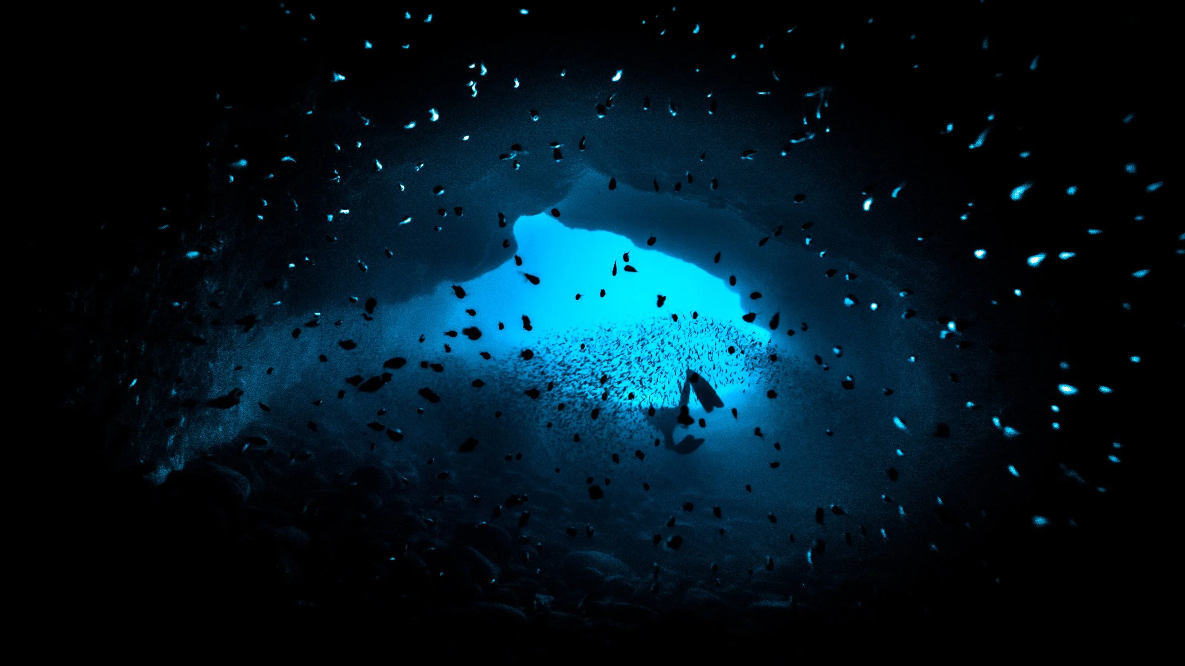 LE PASSAGE- fine_art_photography_aline_escalon-29.jpg