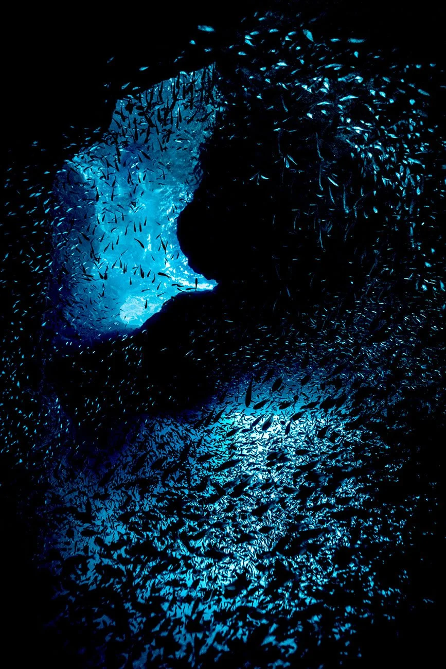 effervescence-underwate-underwater-art-photographe-aquatique-art-contemporain-_danse_ocean_ecologie-en-apnee-ecoconception 2 copie.jpg