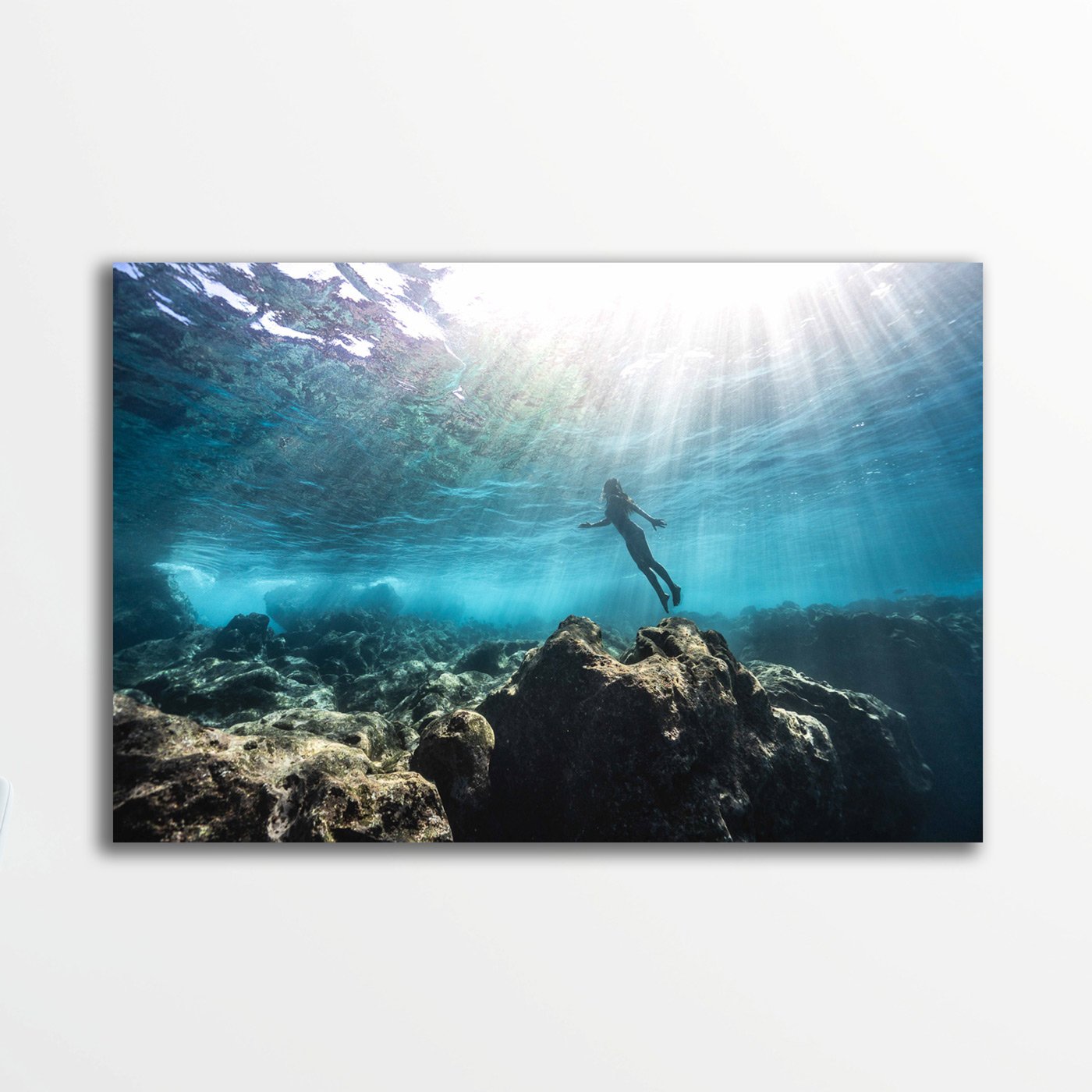 Petit format : Sensible n'est pas fragile