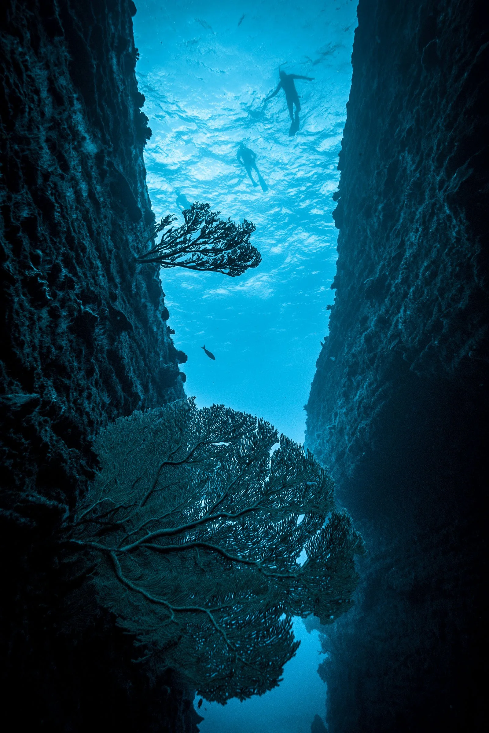 GORGONE - fine_art_photography_aline_escalon-5.jpg