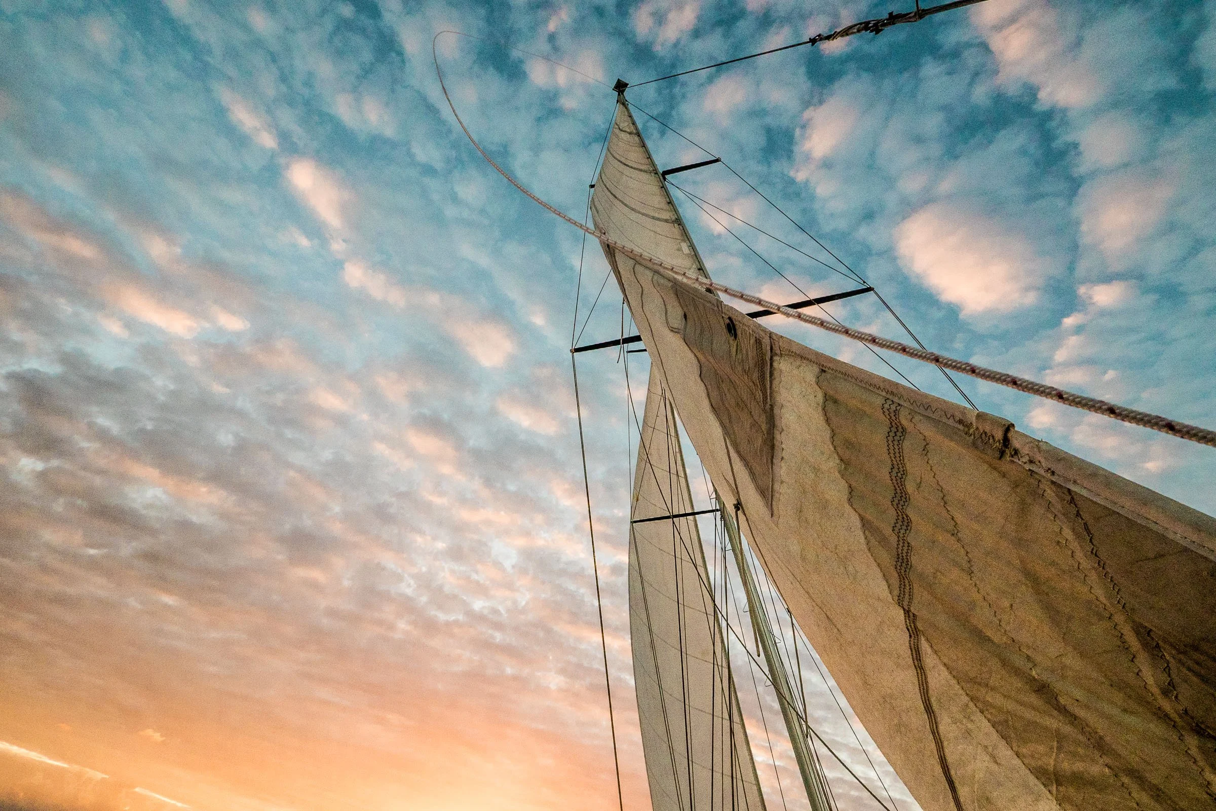 LA COULEUR DE MES REVES - photo_aline_escalon_portfolio-28.jpg