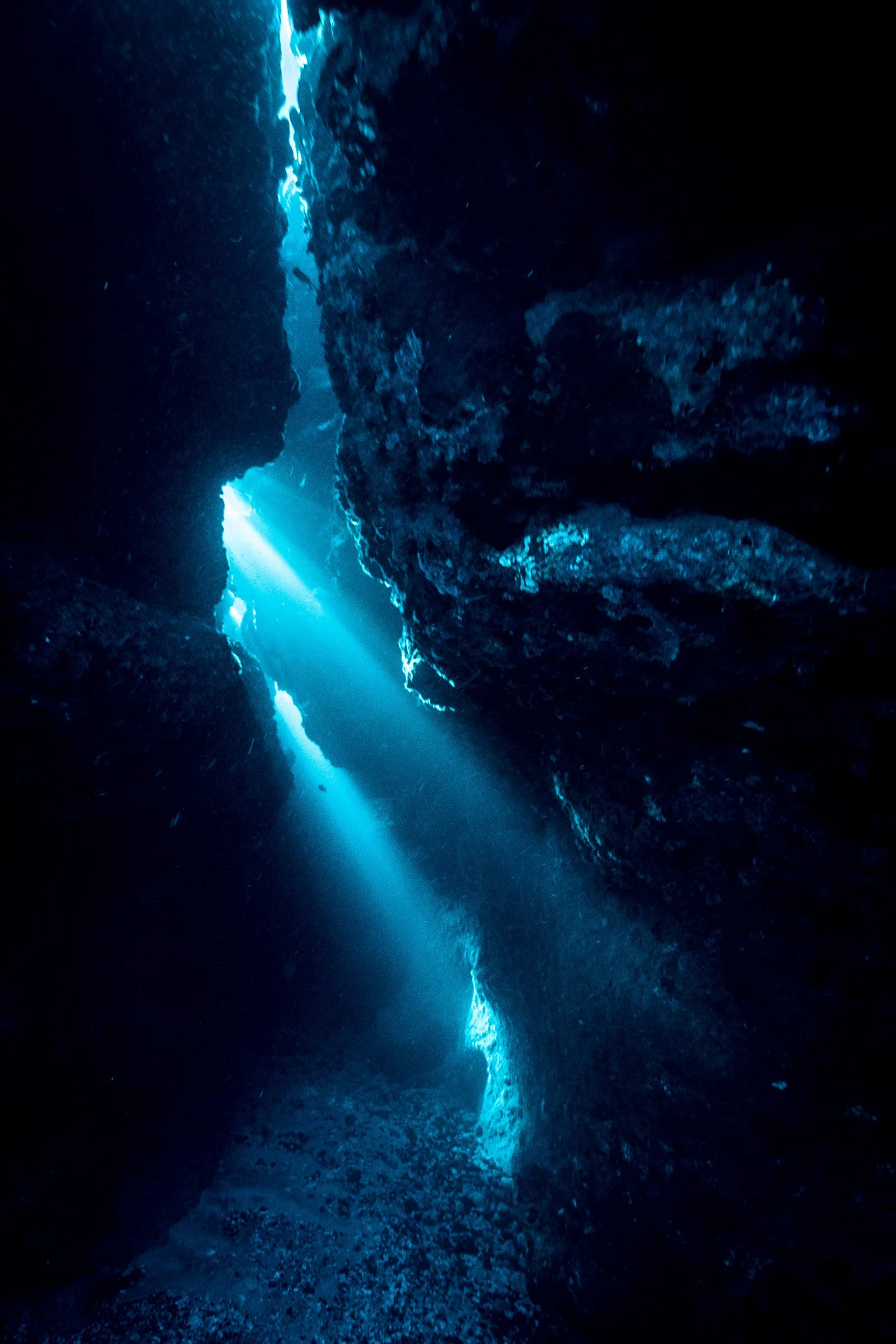 PLUME - fine_art_photography_aline_escalon-16.jpg